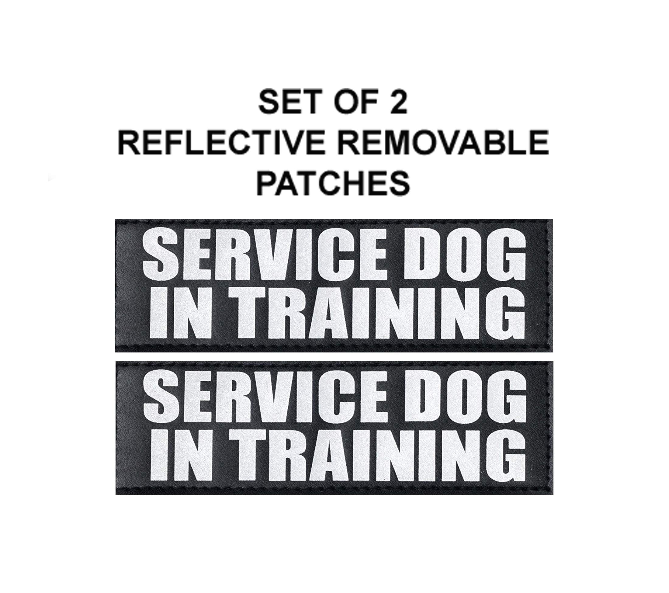 Service Dog in Training mesh Vest Harness Cool Comfort. Purchase Comes with 2 Reflective Service Dog in Training Removable Patch