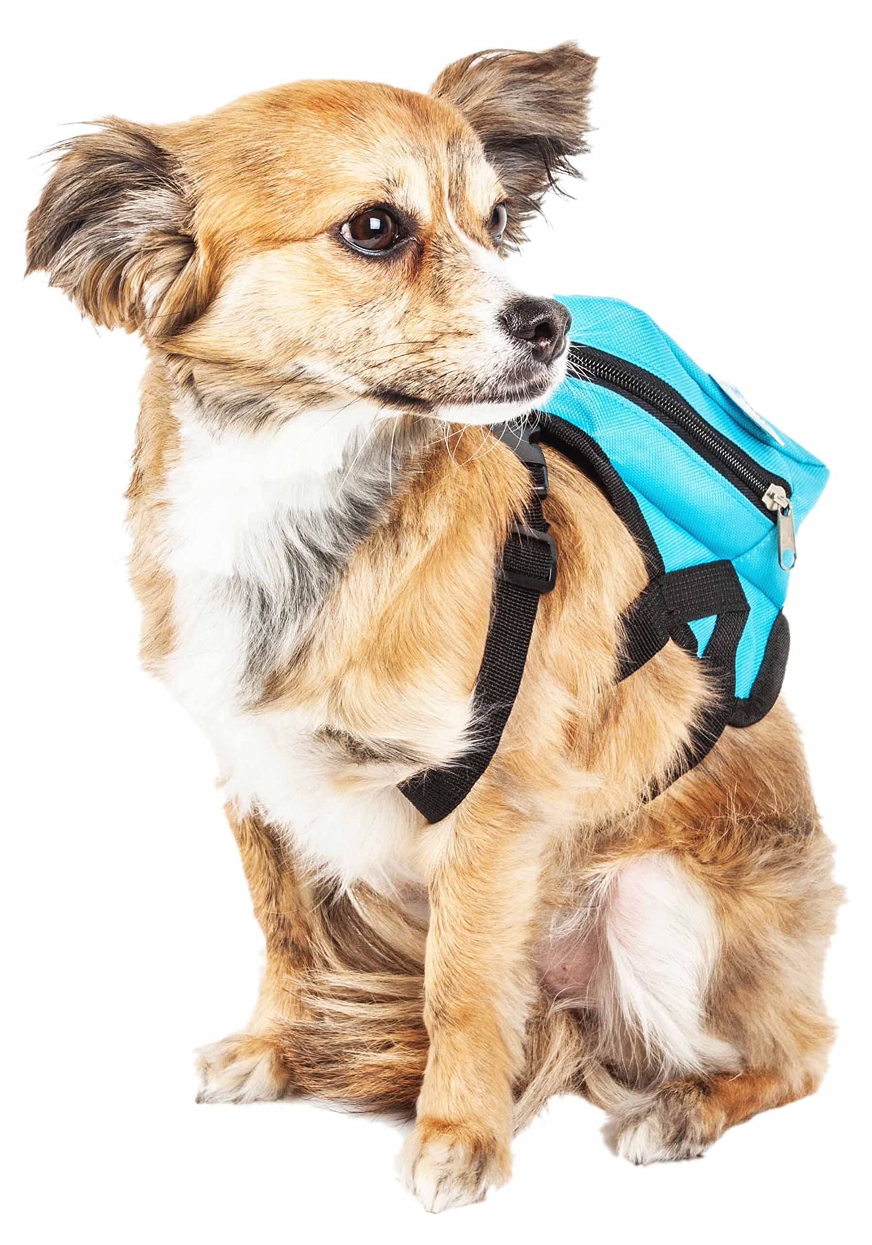 Pet Life ® 'Waggler Hobbler' Large-Pocketed Compartmental Animated Dog Harness And Pet Backpack Carrier With Added Pouch Along The Dog Packpack