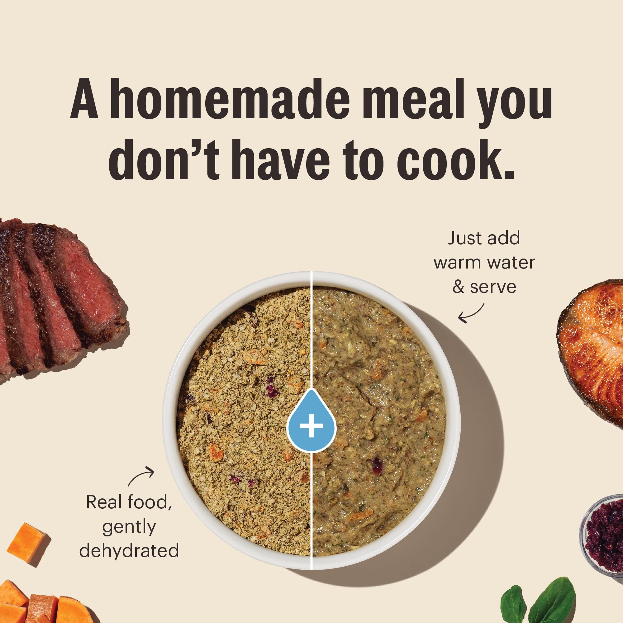 The Honest Kitchen Dehydrated Whole Grain Turkey Dog Food, 7 lb Box
