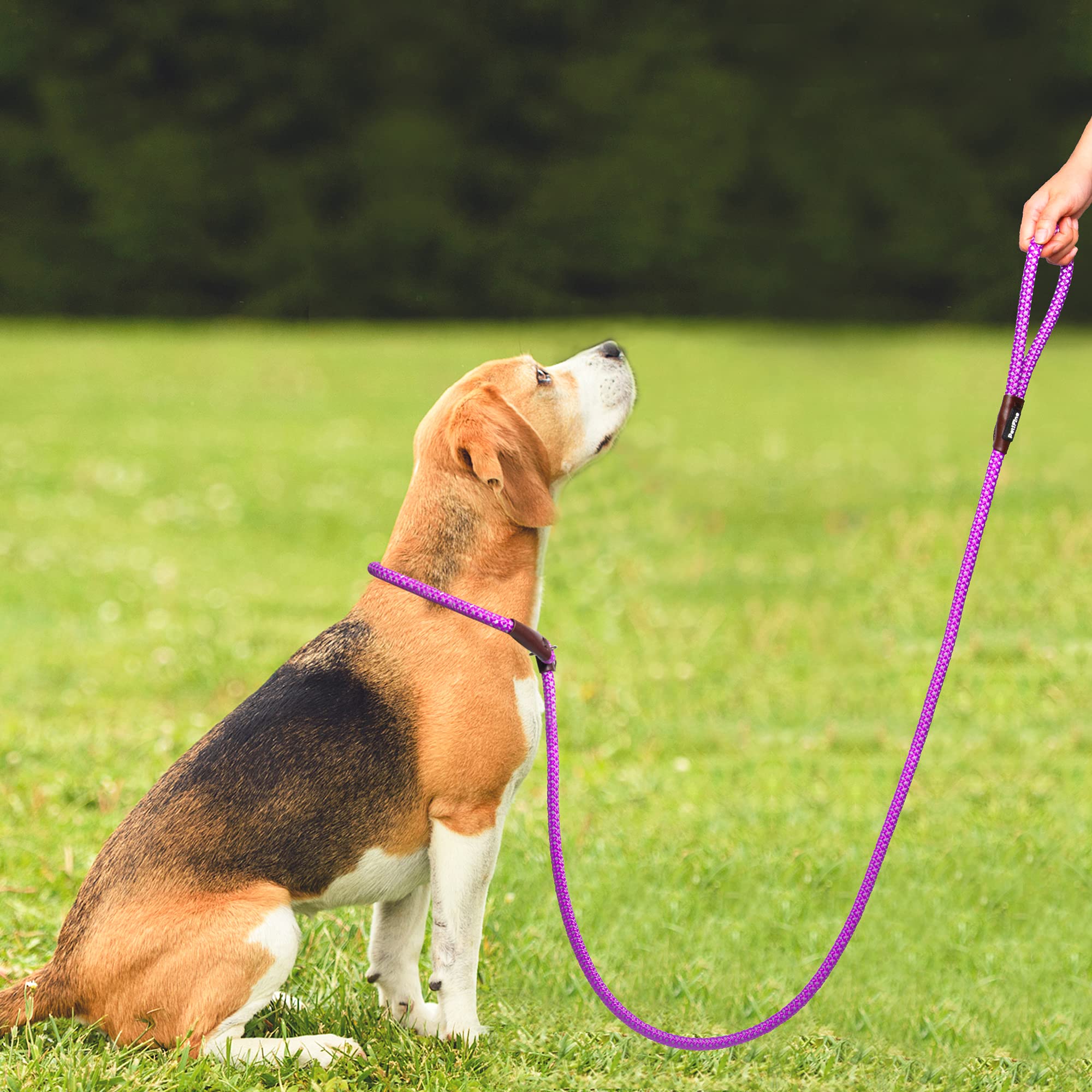 Petifine Slip Lead Dog Leash, Full Reflective Slip Knot Dog Training Leashes, Heavy Duty Adjustable Pet Nylon Slip Loop Leash For Small Medium Large Dogs(Purple)
