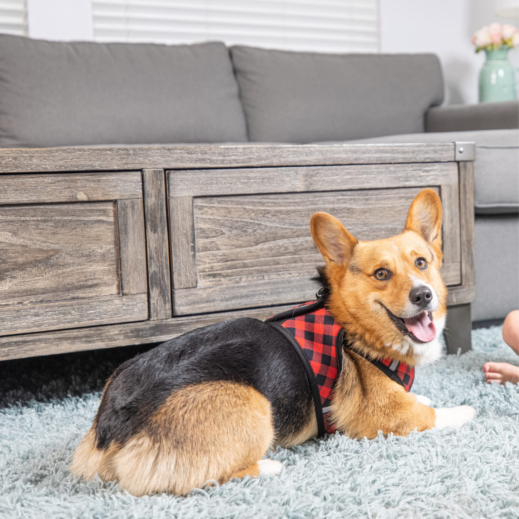 Huxley & Kent Hudson Walking & Training Harness - Buffalo Check (Extra-Large, 35-50Lbs) - Easy Control Step-In Mesh Vest Harness