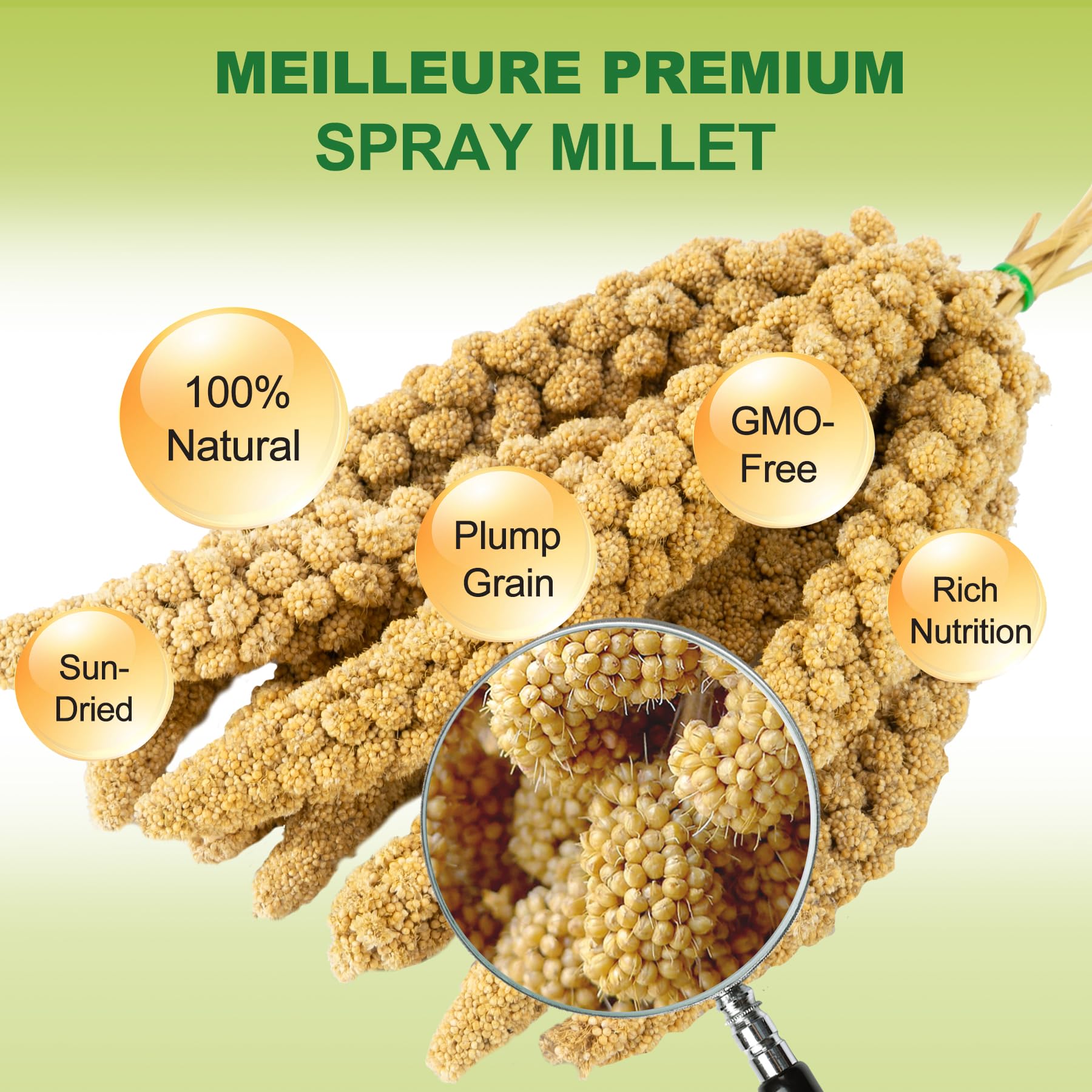 MEILLEURE 2LB Spray Millet Bird Treat for Parakeets, Natural Sun-Dried Birds Millet Spray for Parrots, Finches, Cockatiel, Budgi