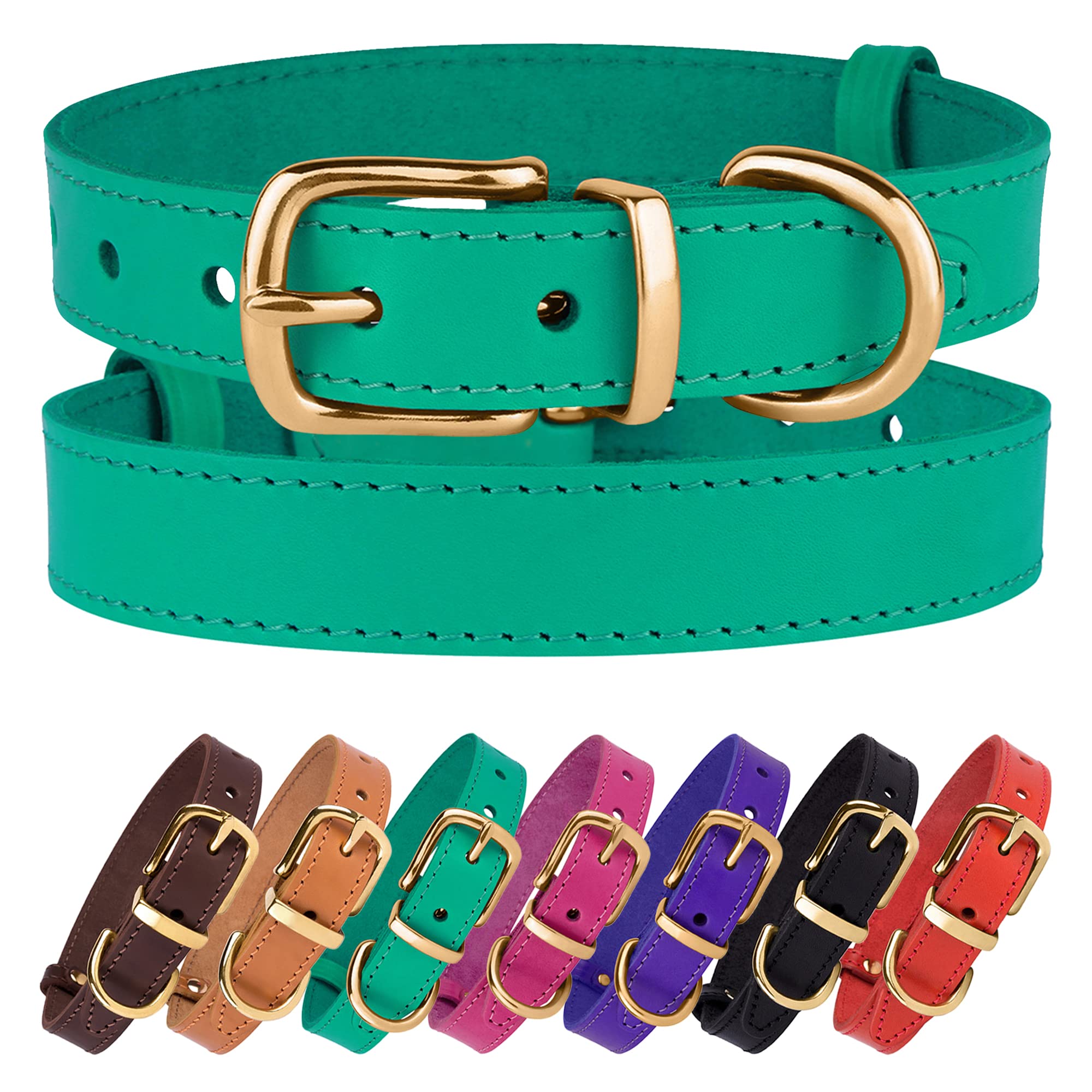 Bronzedog Leather Dog Collar With Qr Id Tag Basic Pet Collars For Small Mini Dogs Cats Puppies (7-9 Inch (Pack Of 1), Green & Gold Buckle)