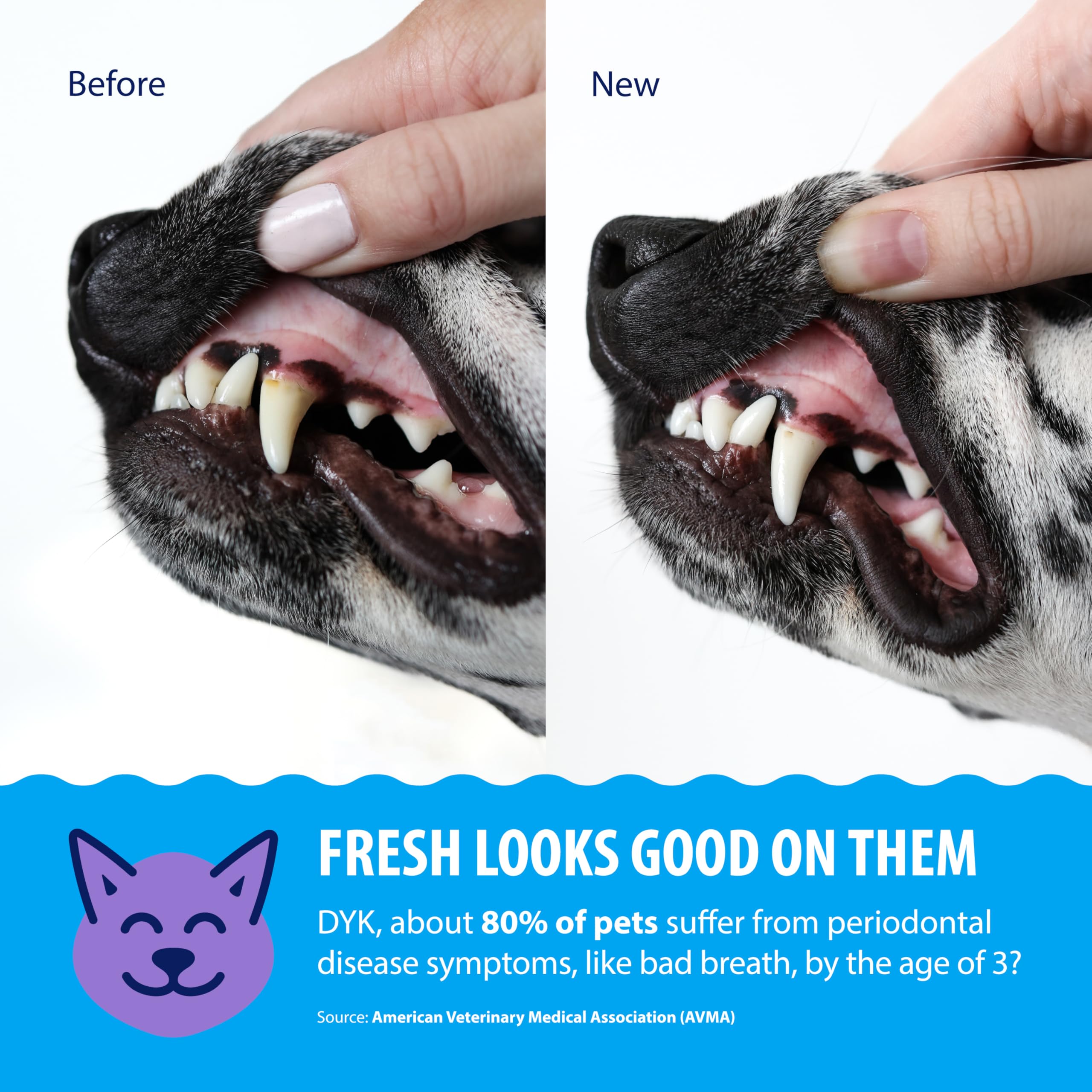 Dental Fresh Water Additive for Dogs and Cats, Clean Teeth and Fresh Breath, Daily Pet Oral Care, Flavorless, 8 fl oz