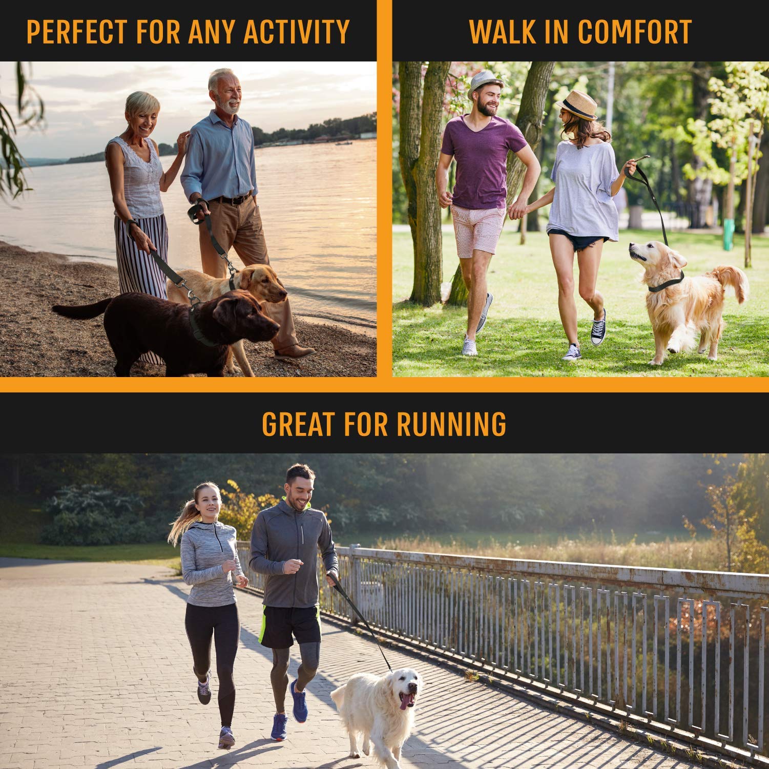 Active Pets Strong Dog Leash With Padded Handle, Durable Comfort Grip For Large & Medium Dogs, Up To 6Ft Adjustable Training Lead, 1 In X4 Ft, Black