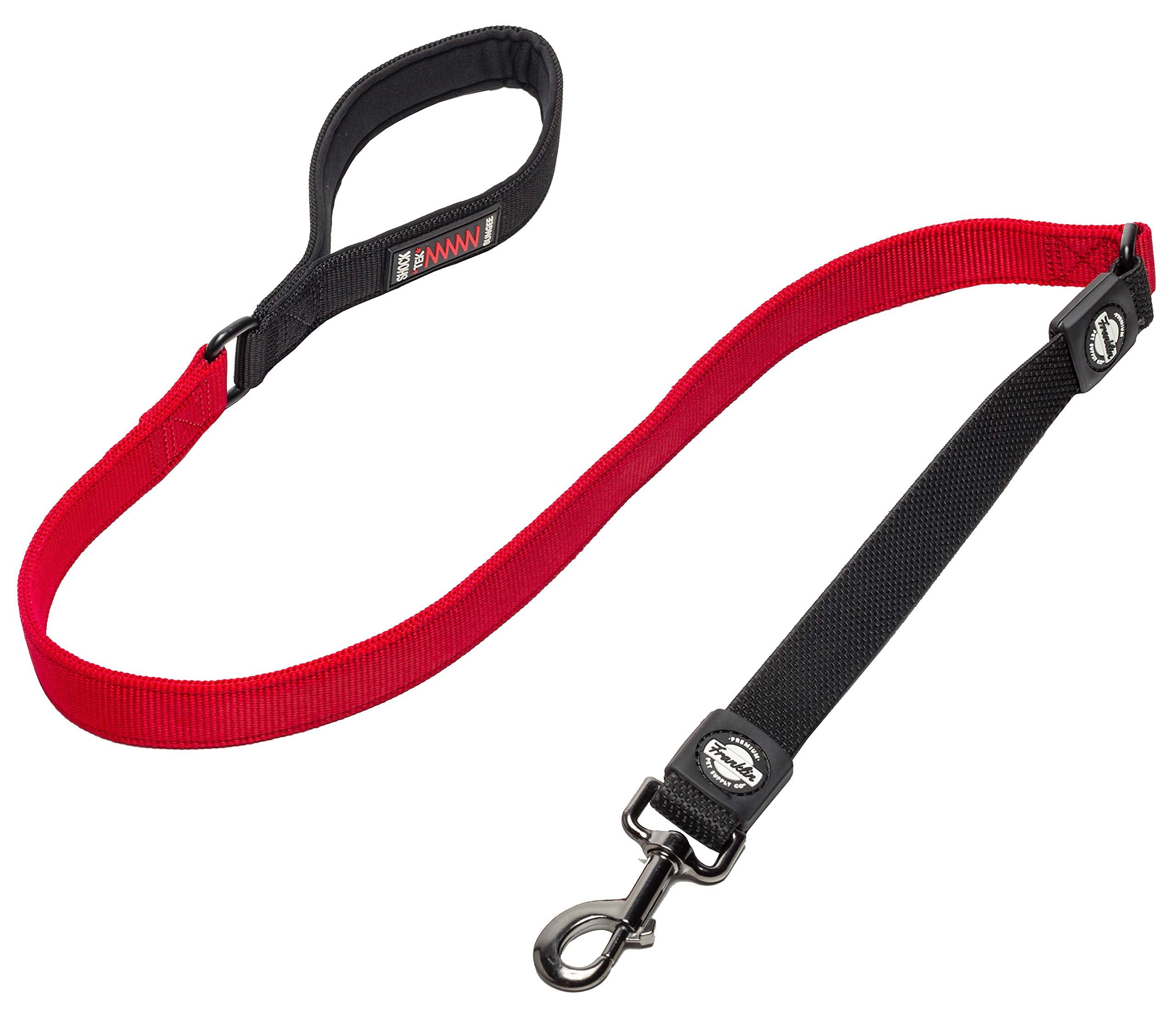 Franklin Pet Supply Co. Nylon Dog Leash - 4 Foot Dog Leash with Shok-Tek Bungee - Prevents Jumping and Pulling - Bright-Color Ny