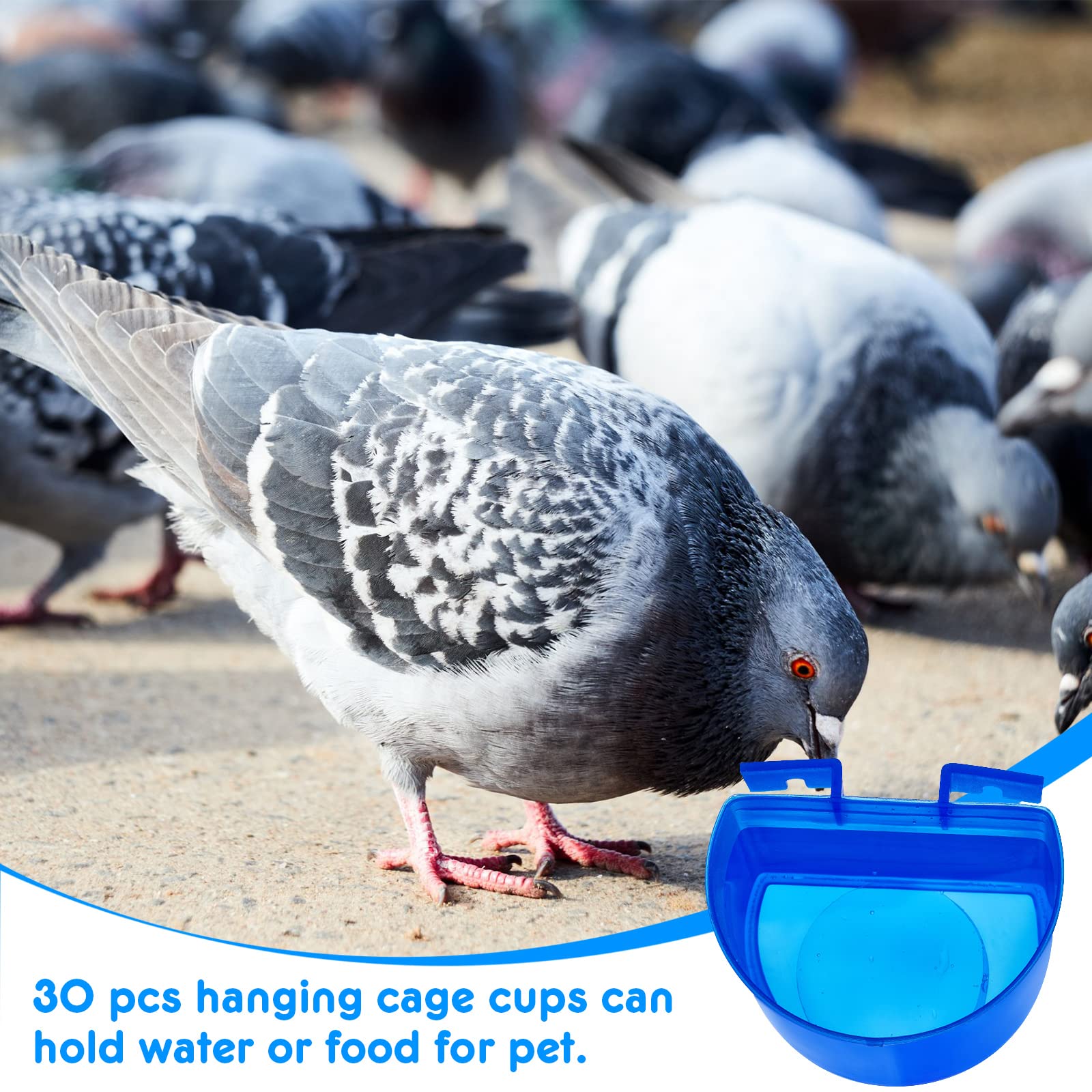 Suclain 30 Pcs Blue Cage Feeders Birds Cage Cups Plastic Hanging Feeding Cups Seed Bowl Chicken Feeding Watering Dish With Hooks
