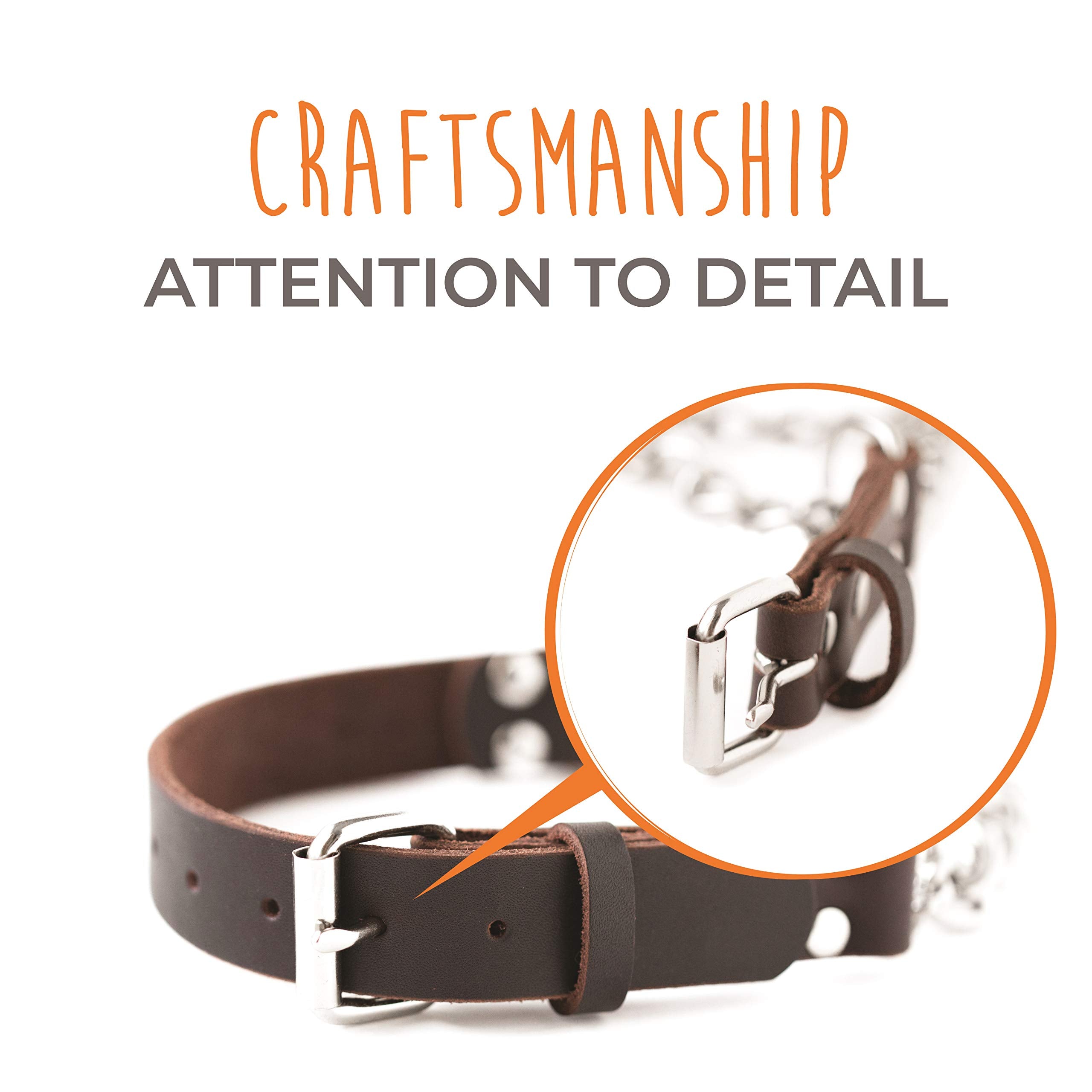 Mighty Paw Martingale Dog Collar - No Pull, Brown Leather, Medium Size, Stainless Steel Chain