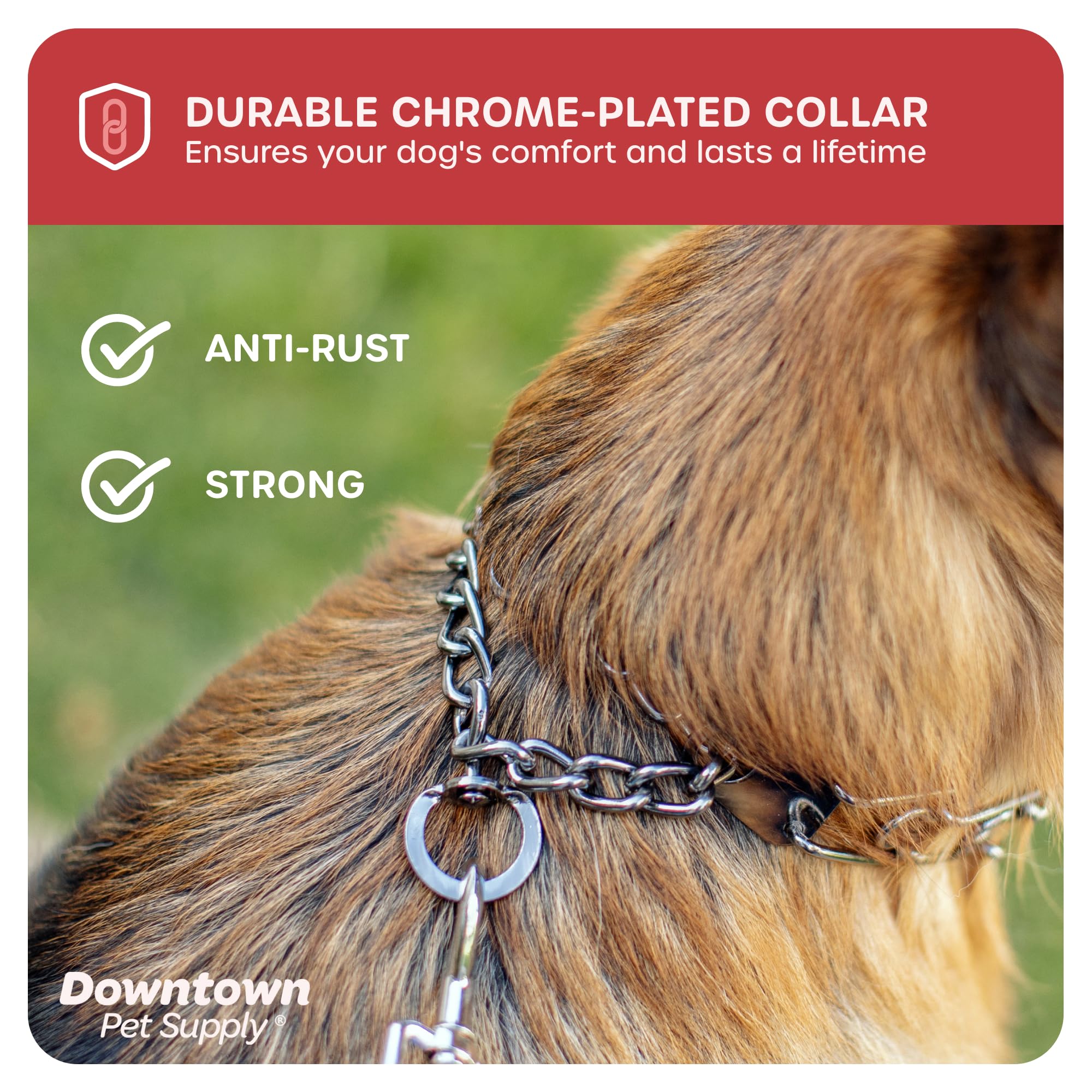 Downtown Pet Supply Chrome Plated Prong Collar For Dogs, Large - Adjustable, No-Choke And No Pull Dog Collar With Removable Links - Pinch Collar For Dogs Over 50 Lbs And 22' Neck Width