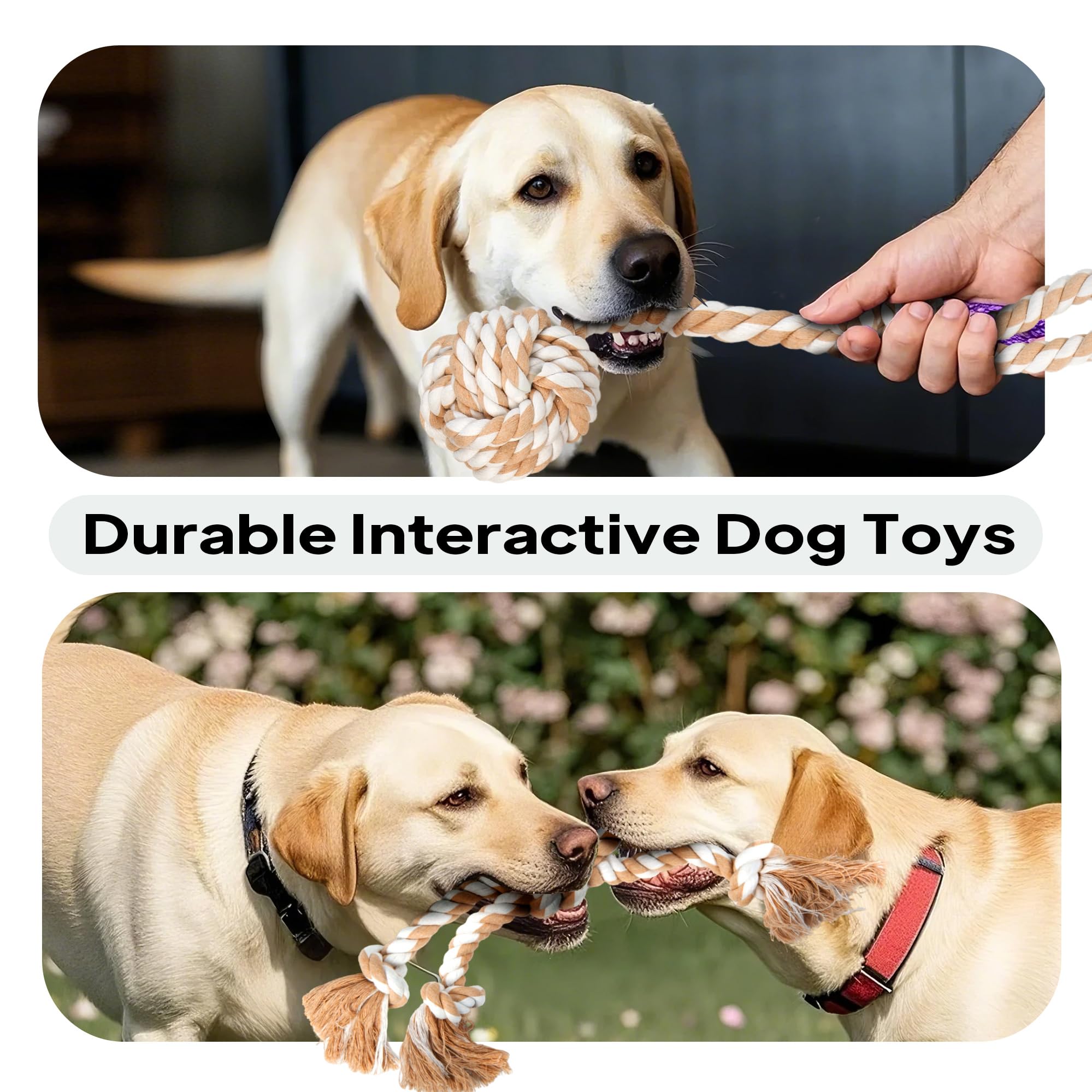 Petifine Dog Rope Toys For Large Medium Dogs, 4 Pack Tough Chew Toys For Aggressive Chewers, Interactive Rope Ball Natural Cotto