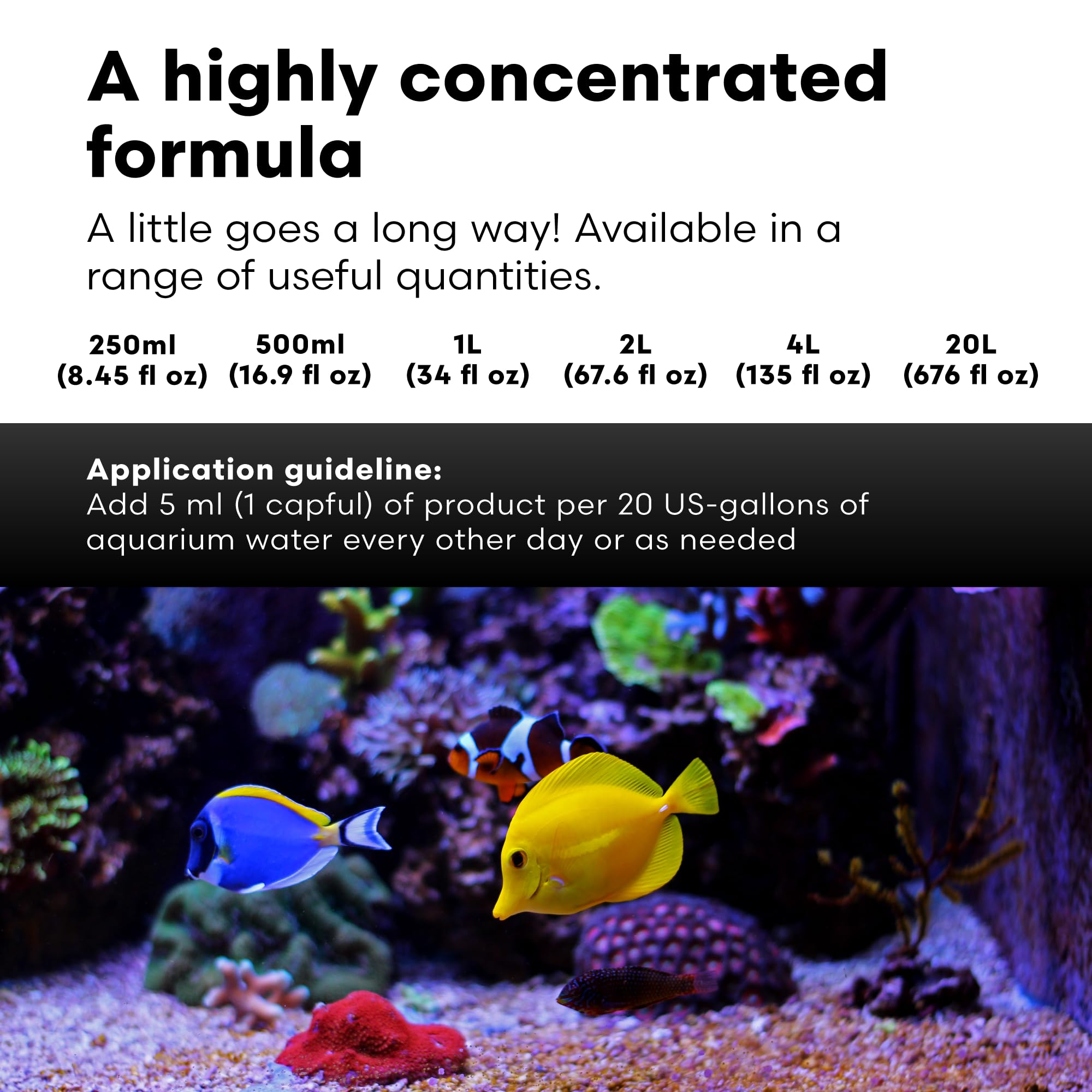 Brightwell Aquatics Magnesion Liquid Salt Water Conditioner - Concentrated Magnesium Supplement For Reef and Marine Aquariums, 8
