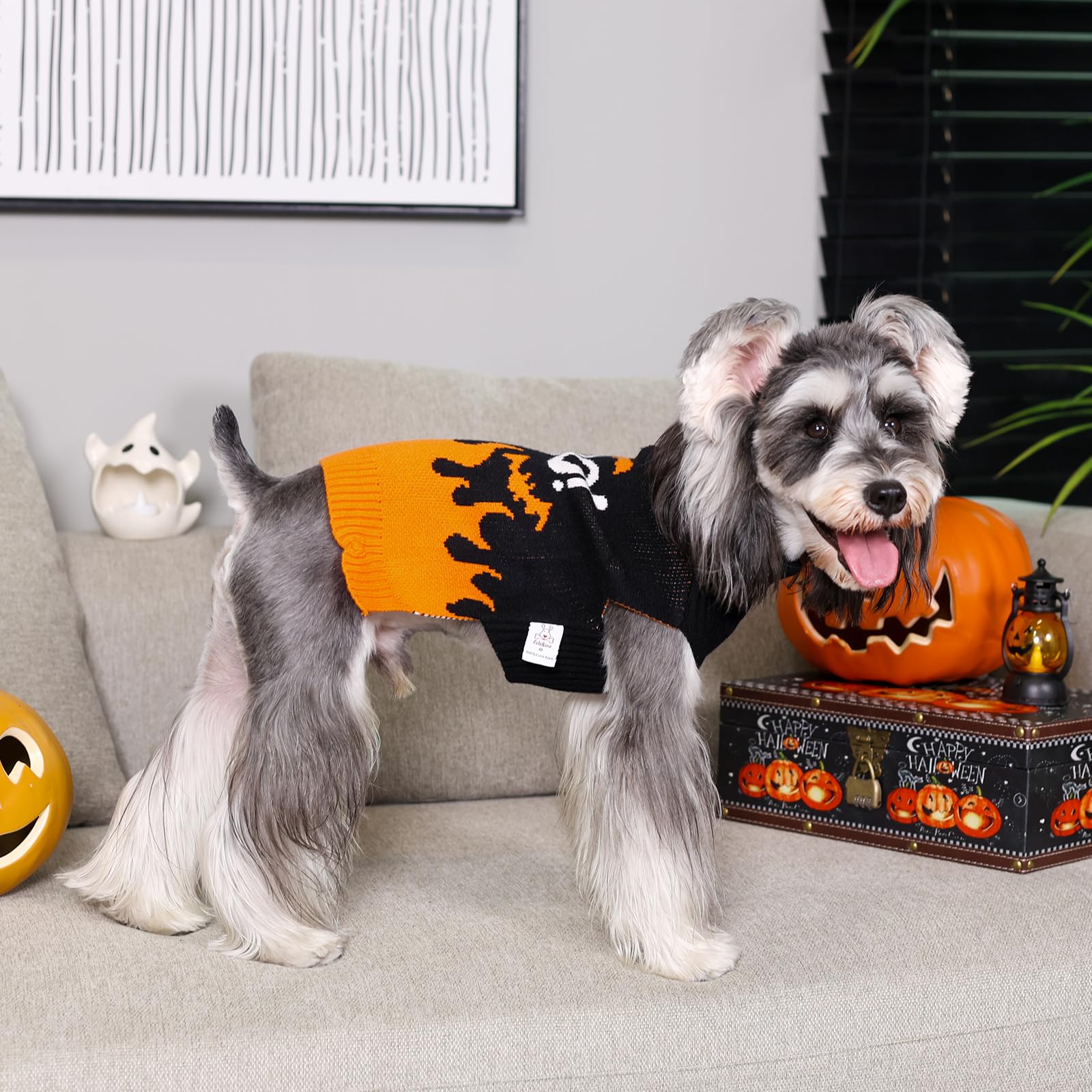 Cutebone Halloween Dog Sweater For Small Medium Dogs, Skull Pullover For Chihuahua Yorkie Teacup Ds99S