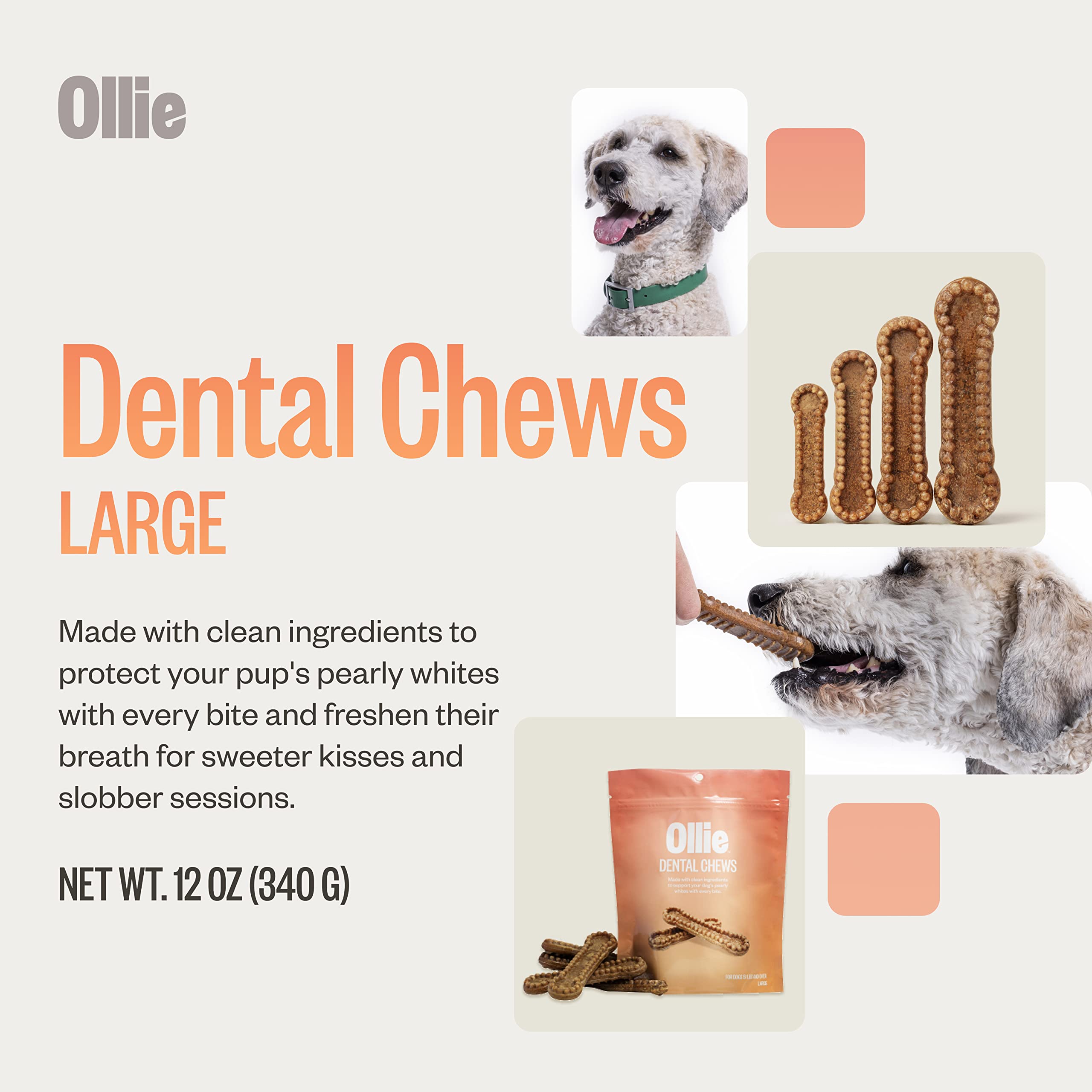 Ollie Dental Chews for Large Dogs, 12 Oz, Fresh Breath, Teeth Cleaning Treats, Sticks for Dog Oral Care, with Parsley and Cinnim