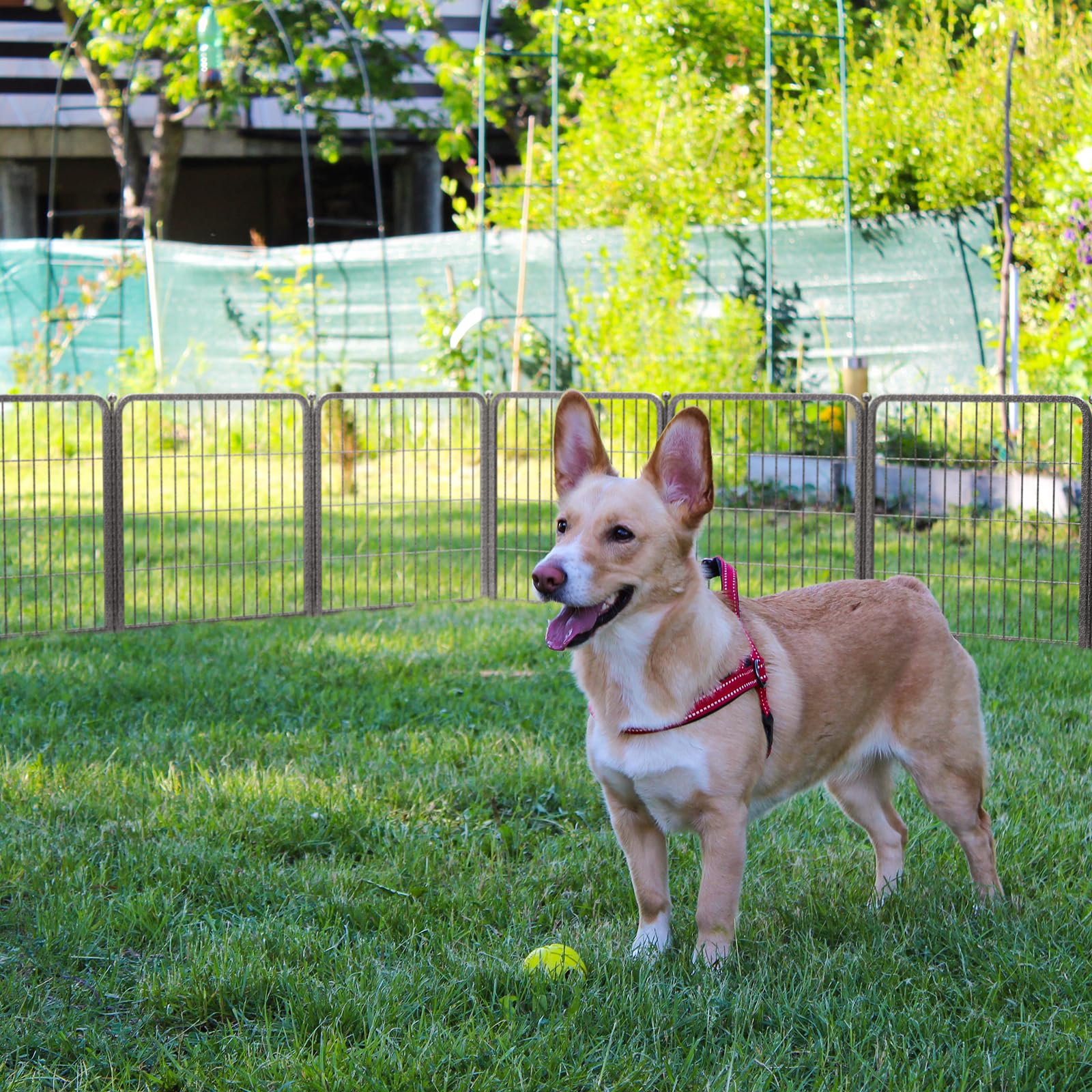 Fxw Aster Dog Playpen Designed For Yard, 8 Panels