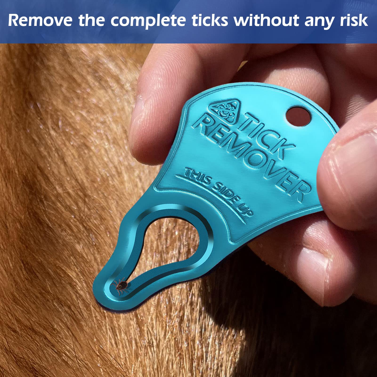 3 Pack Tick Remover Tool Portable, Tick Removal Tool For Pets, Humans And Animals, Safe And Portable, Pain-Free And Effective, Essential Tools For Outdoor Activities