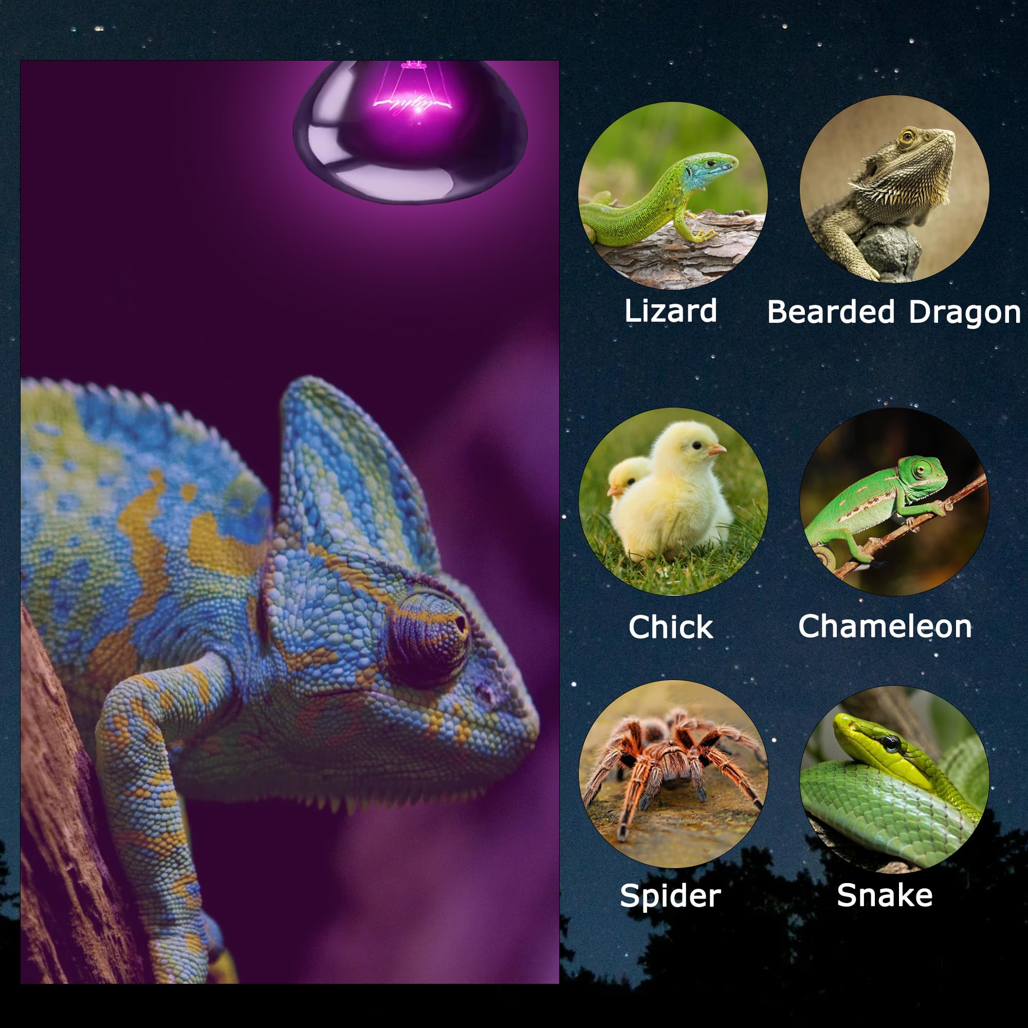 Hartompet 75W Reptile Night Light Bulb - Purple Basking Lamp To Simulate Natural Moonlight For Lizards, Snakes, Turtles - Baskin