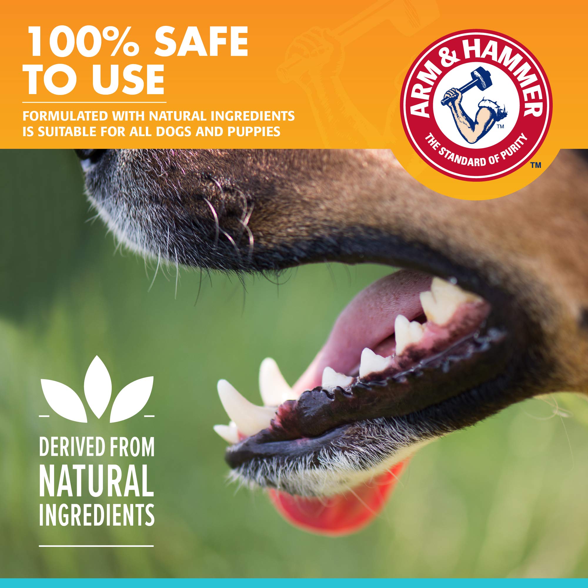 Arm & Hammer Dental Enzymatic Toothpaste for Dogs, 2.5 oz, 72 Pack - Soothes Gums, Fresh Breath Vanilla Ginger, Safe for Puppies