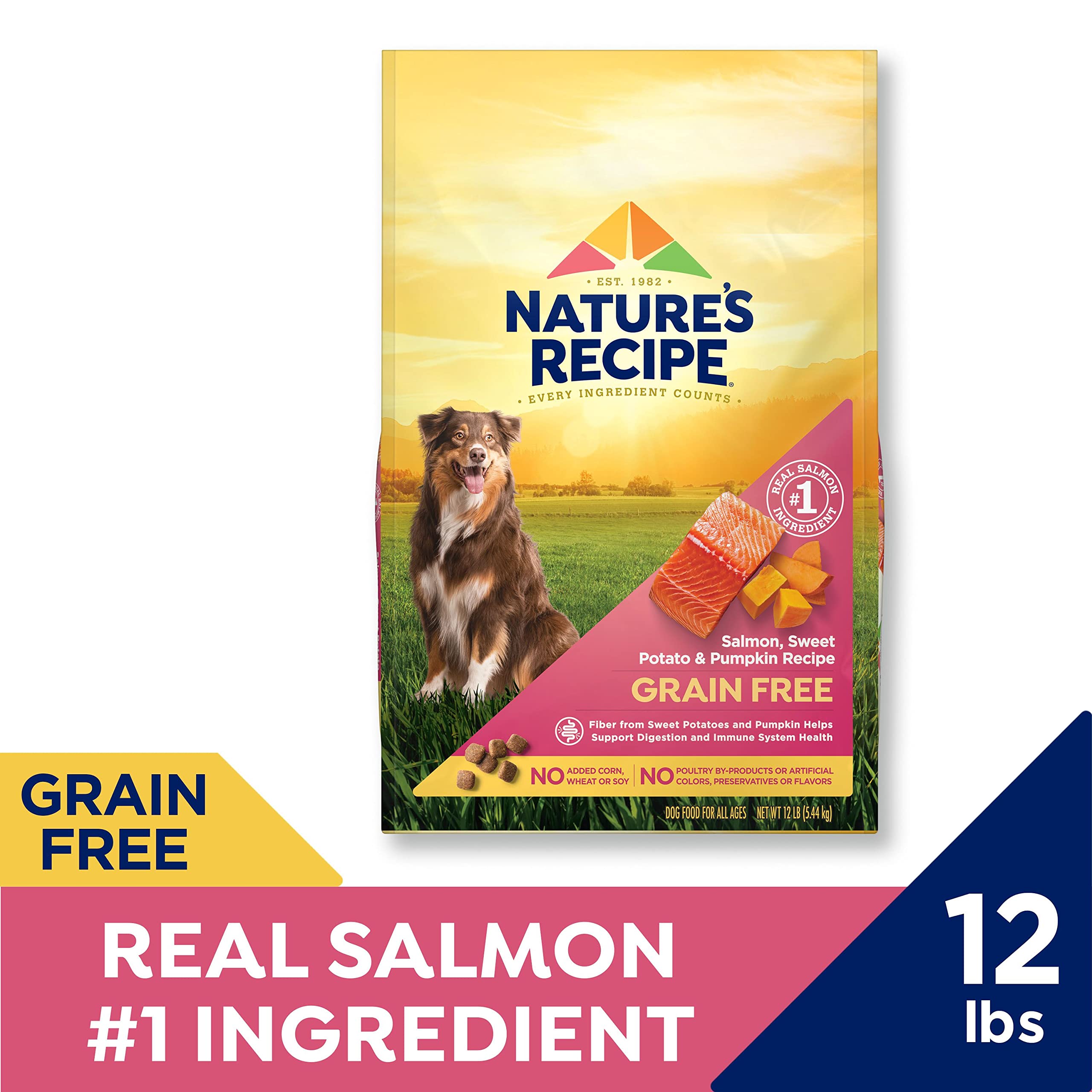 Natures Recipe Grain Free Salmon, Sweet Potato & Pumpkin Recipe Dry Dog Food, 12 lb. Bag