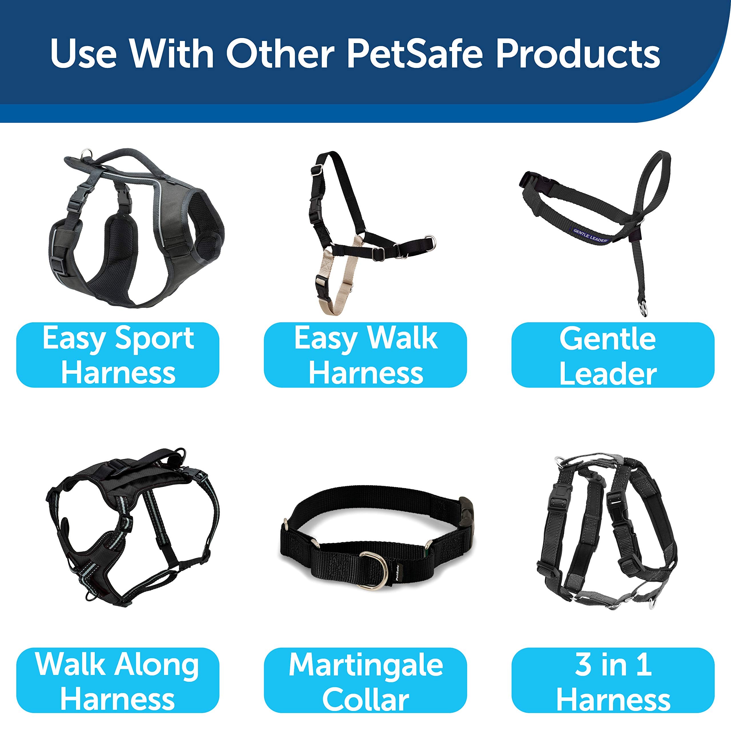 Petsafe Nylon Dog Leash – Strong, Durable, Traditional Style Leash With Easy To Use Bolt Snap For Small, Medium And Large Dogs – 3/8' X 6', Black