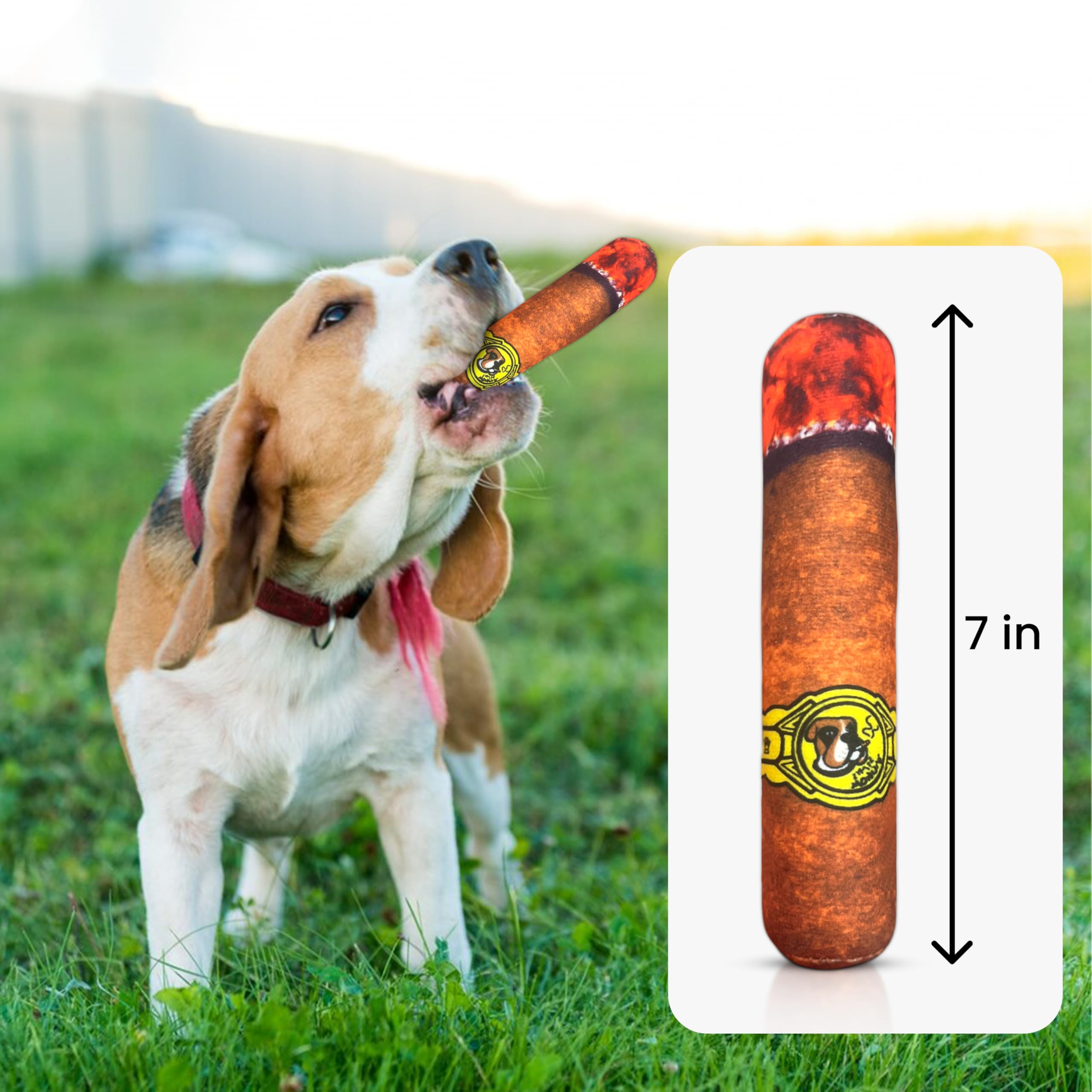 Vaulted Skulls & Co Dog Cigar Toy Small | Cigar Chew Toy Dogs | Dog Cigar Toy W/Squeaker | Pet Cigar Chew Toy | Small | 7''