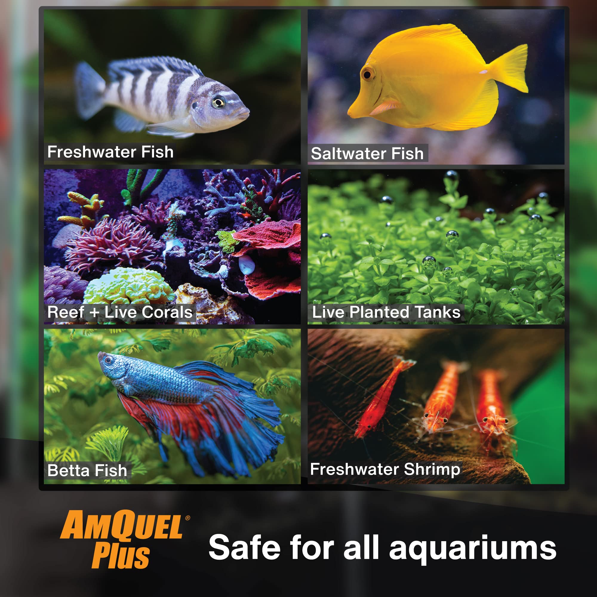 Kordon #33444 Amquel Plus For Aquarium, 4-Ounce