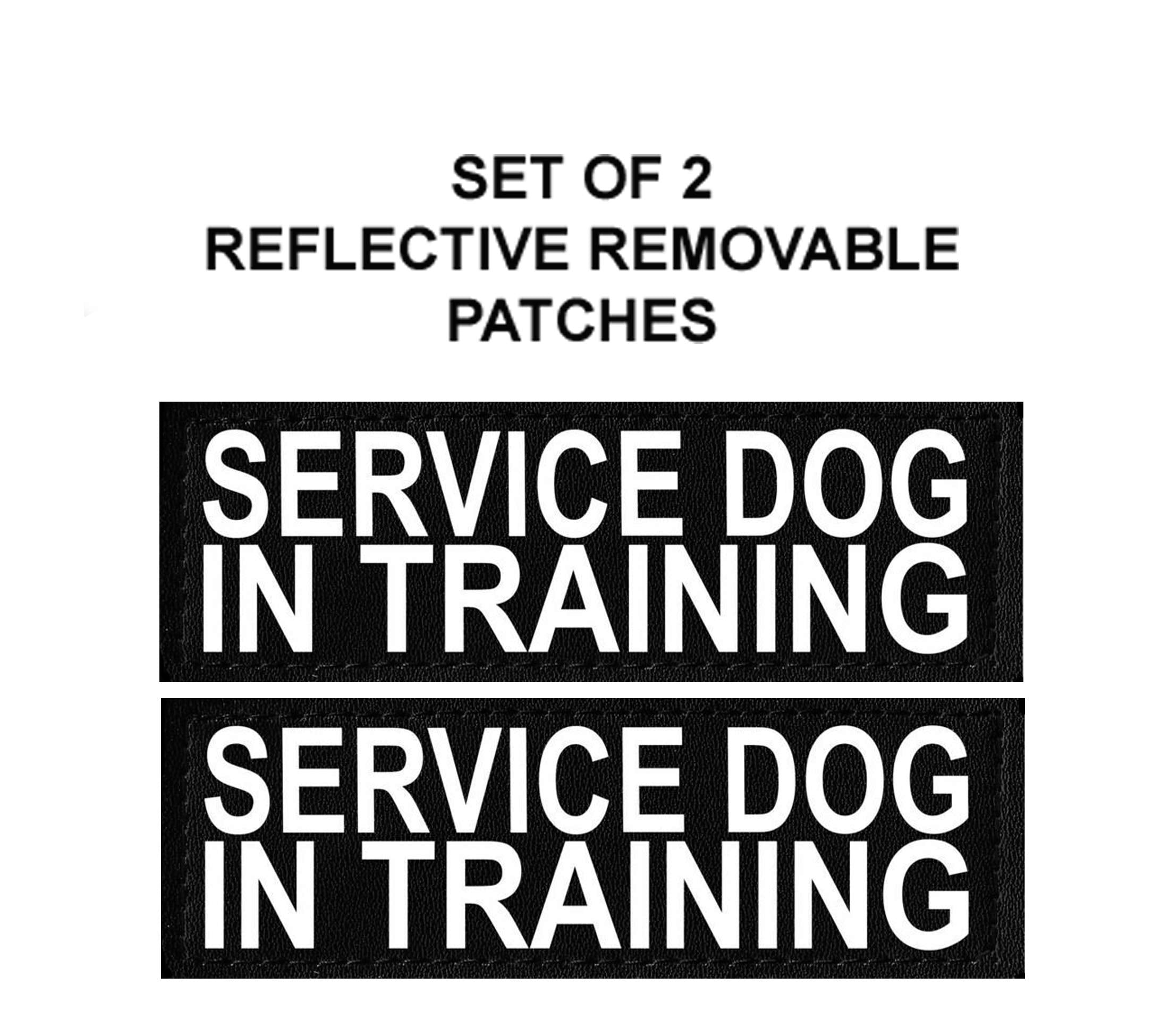 Set Of 2 Reflective Service Dog In Training Patches For Service Dog Harnesses & Vests. (Small 3' X 1')