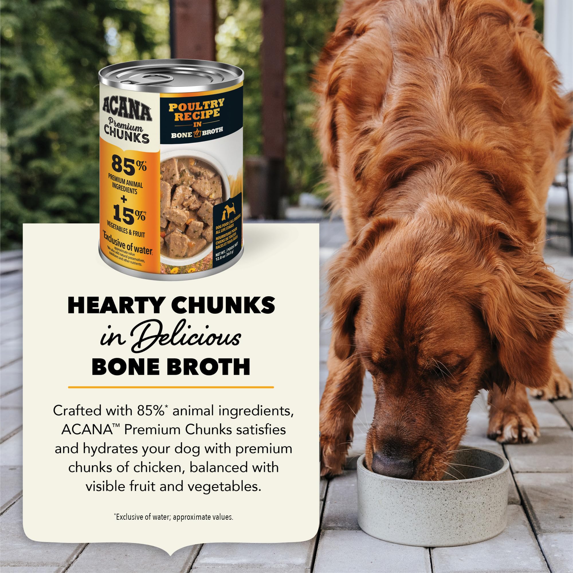 ACANA Premium Chunks in Bone Broth Grain-free Wet Dog Food Poultry Recipe 12.8oz Cans (12 Count)