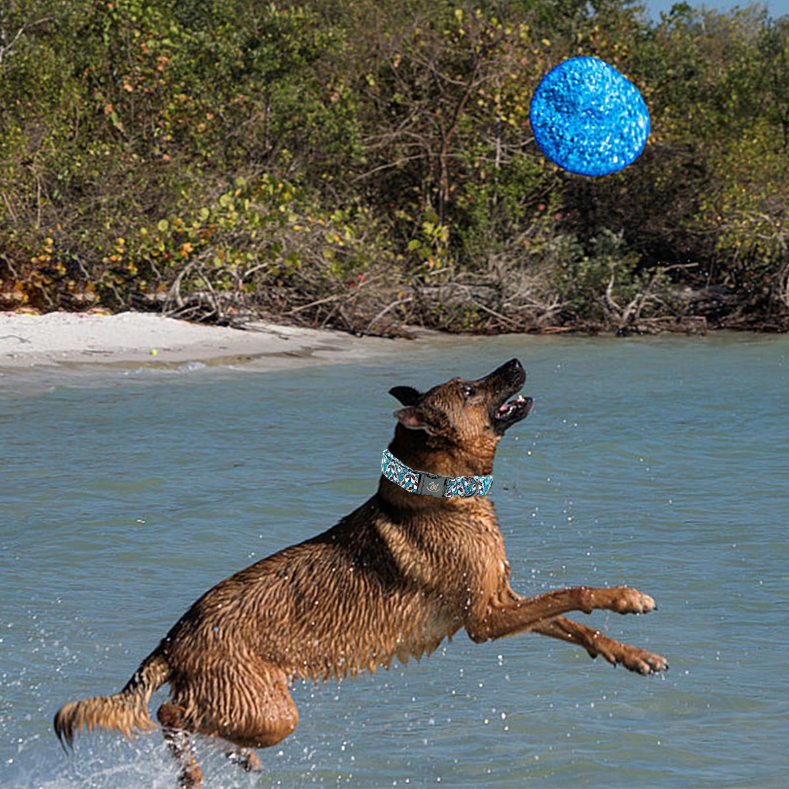 Elegant Little Tail Dog Collar, Pet Collar Summer Dog Collar Shark Print Pet Collar Dog Cotton Durable Boy Dog Collar Metal Buck