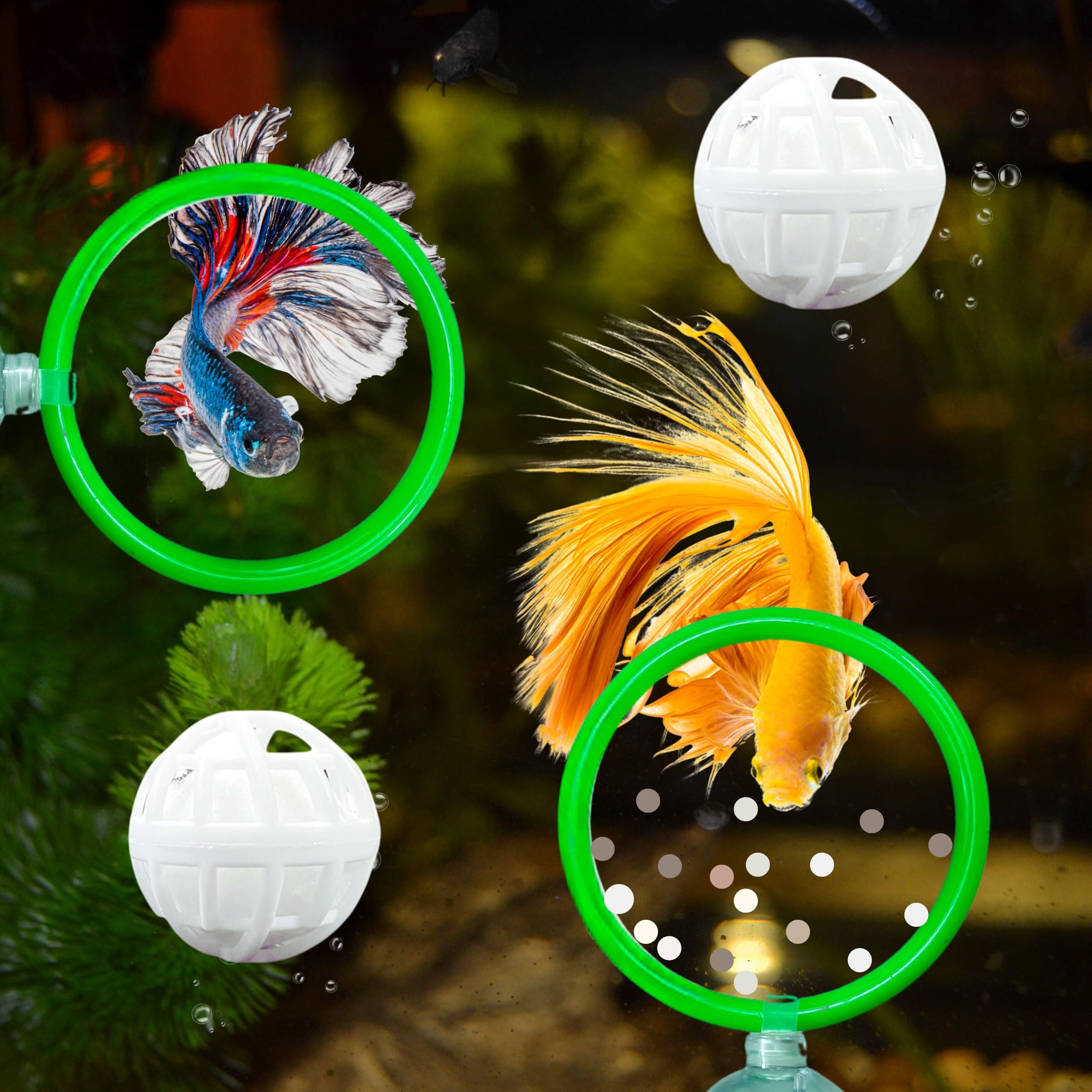 Betta Fish Exercise Ring And Filter Balls Set, Fish Feeder Ring And Nitrifying Ball, Betta Fish Toys For Small Tank, Betta Ring,