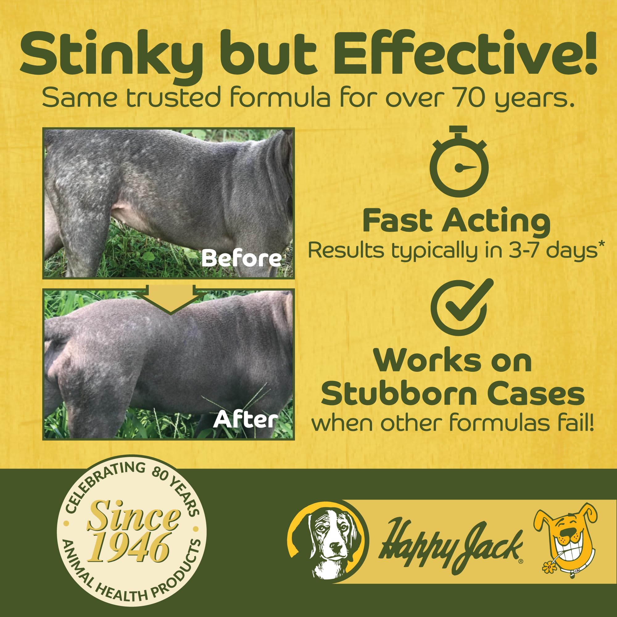 HAPPY JACK Mange Medicine for Dogs & Horses - Soothing Itch Relief for Severe Mange, Allergies & Skin Irritation (8 oz)