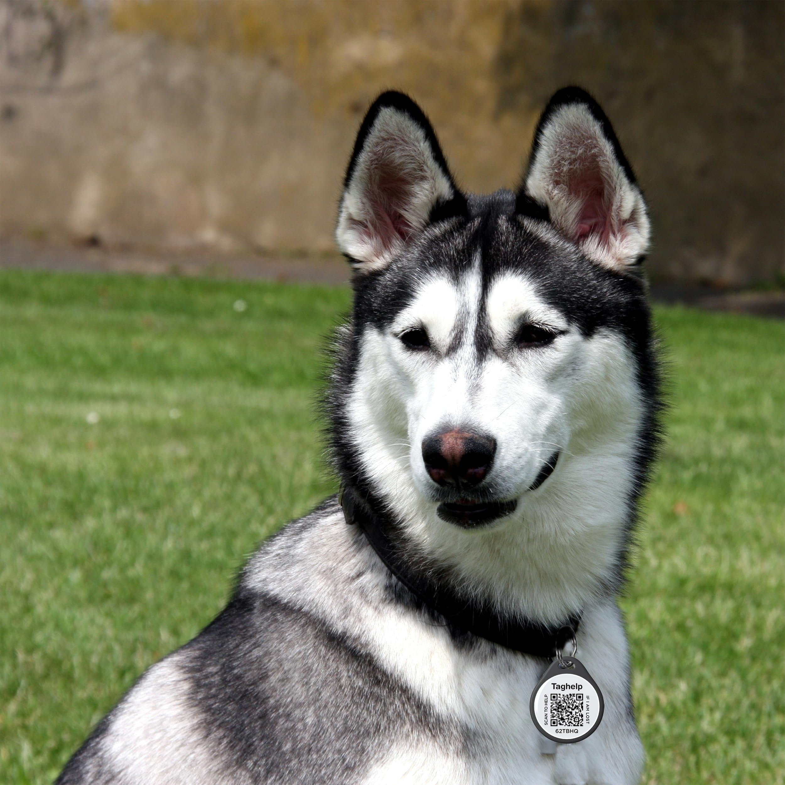 Smart Qr Code Pet Id Tag For Dogs - Instant Gps Location Alert Via Email, No App/Subscription Required, Waterproof Anti-Lost Per