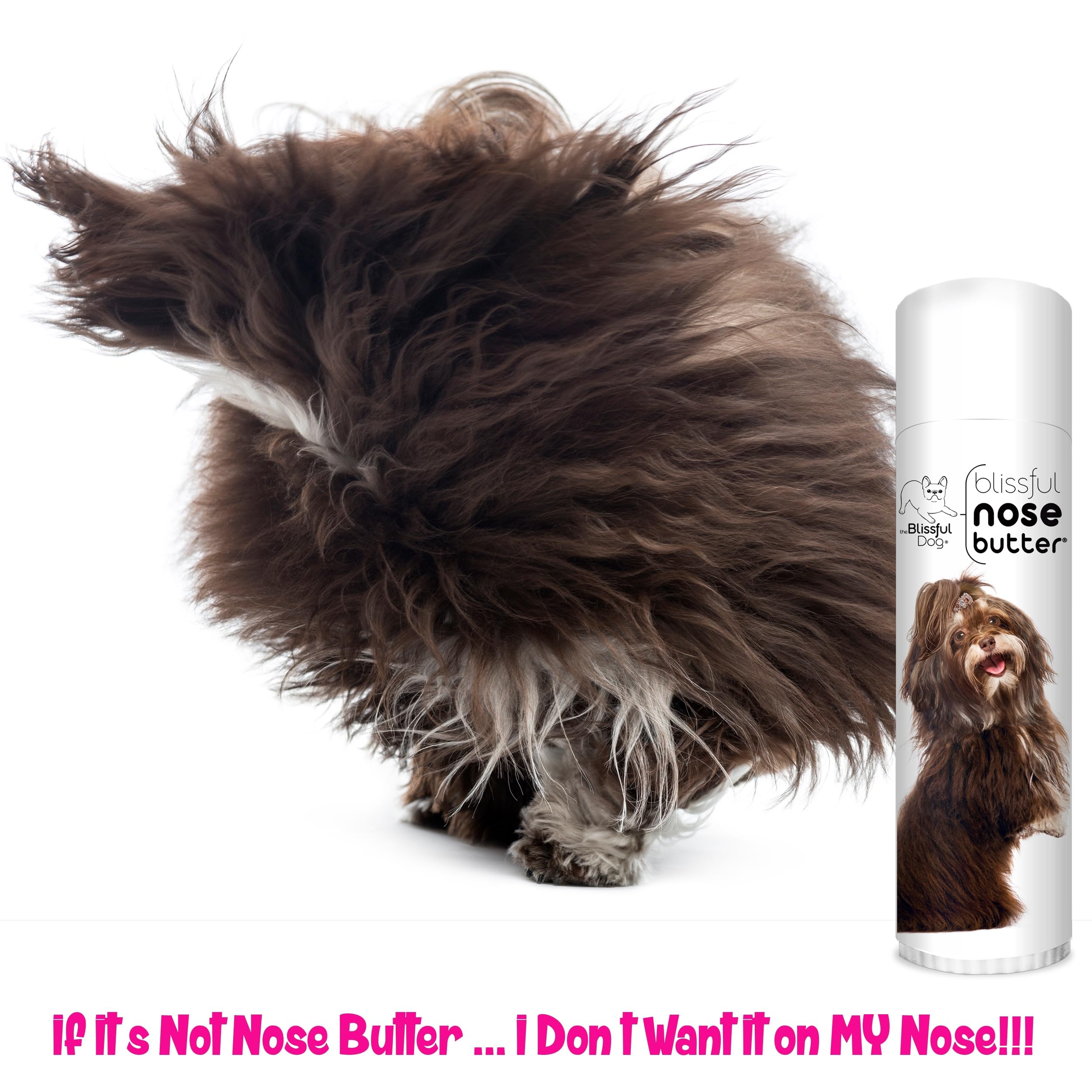 The Blissful Dog Havanese Unscented Nose Butter - Dog Nose Butter, 0.50 Ounce