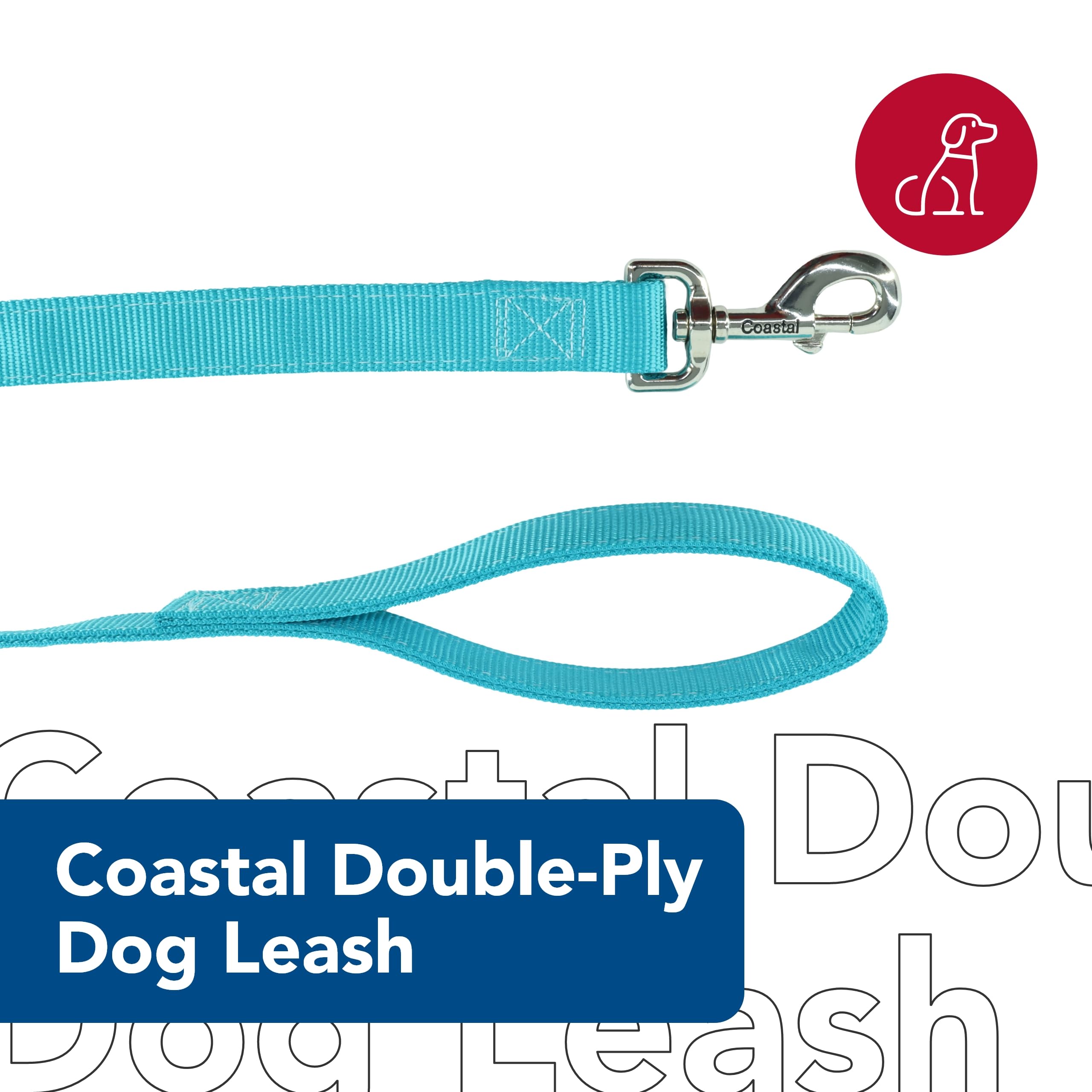 Coastal Pet Double-Ply Dog Leash - Bolt Snap Attachment To Collars And Harnesses - Nylon Dog Walking Leash For Small, Medium And Large Dogs - Teal - 1' X 6'