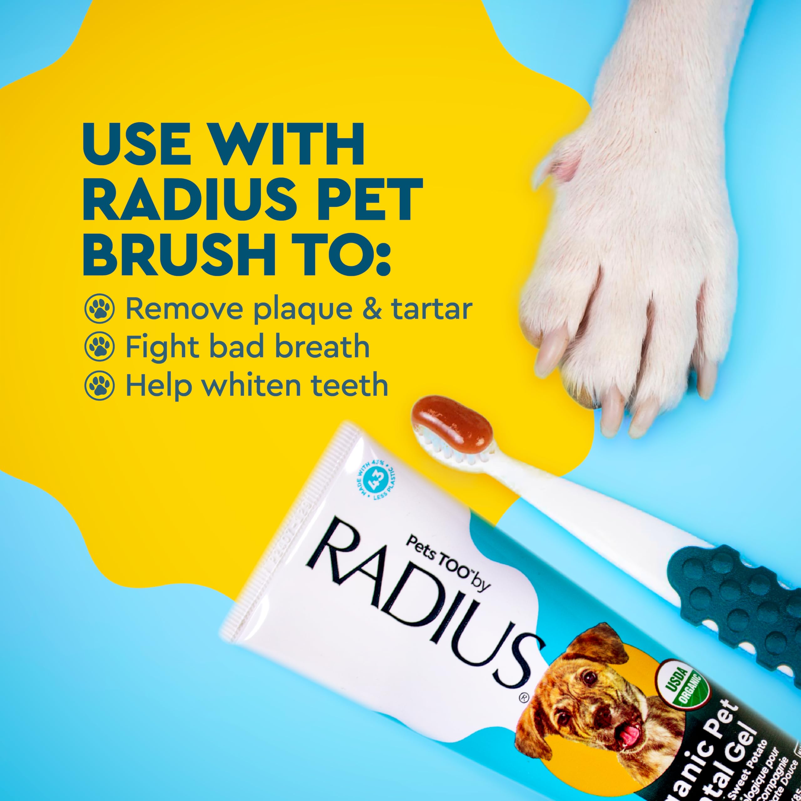 RADIUS Canine Pet Toothpaste, Cinnamon Sweet Potato, 3 oz, Non-Toxic Toothpaste for Dogs, Designed to Clean Teeth, Help Prevent