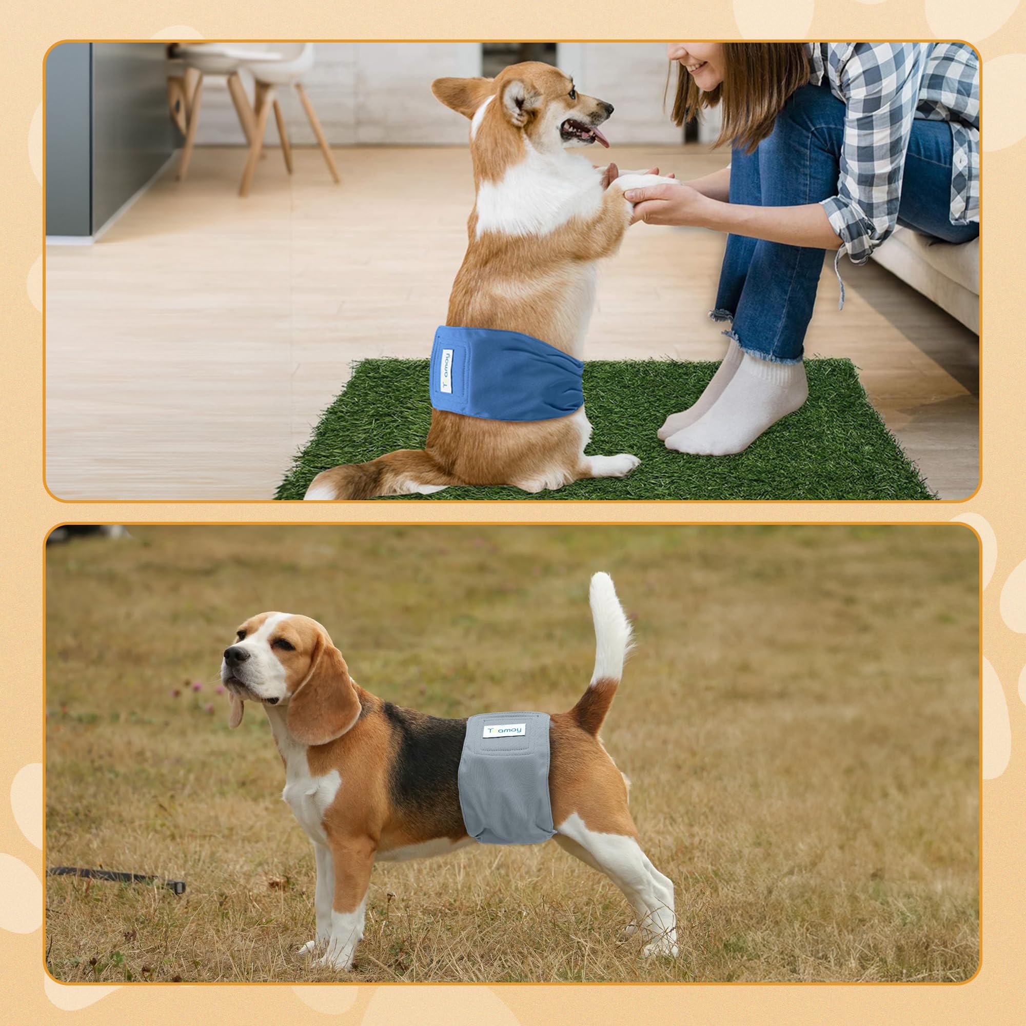 Teamoy Reusable Wrap Diapers For Male Dogs, Washable Puppy Belly Band Pack Of 3 (L1, 16'-20' Waist, Black+ Gray+ Lake Blue)