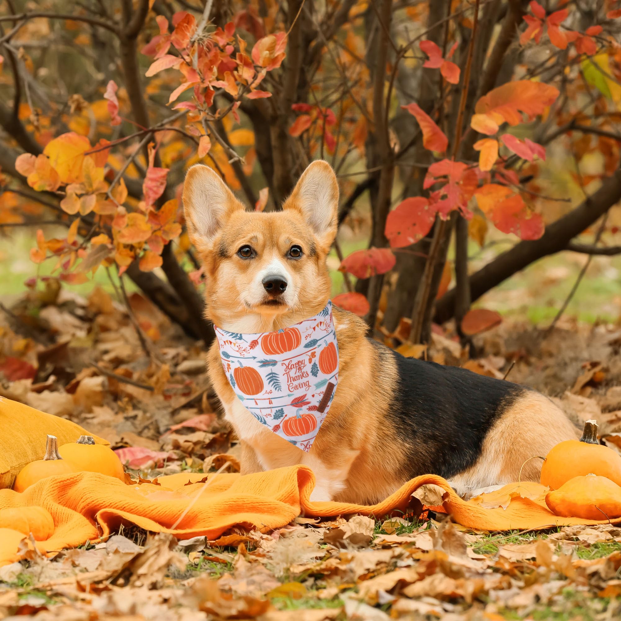ADOGGYGO Thanksgiving Dog Bandana, Fall Leaves Pumpkin Pet Scarf, Premium Durable Fabric, Adjustable Fit Thanksgiving Bandanas f