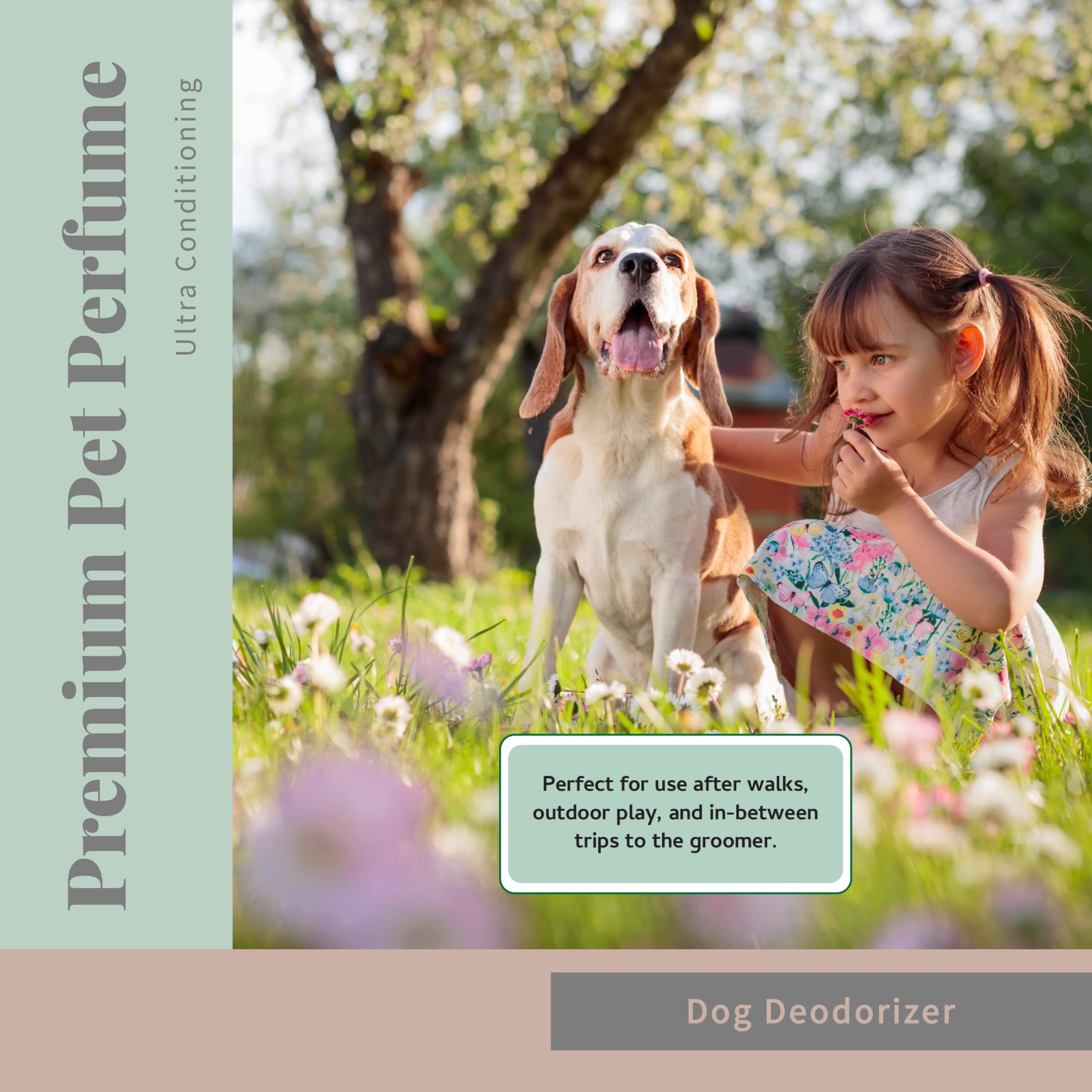 Begley’S Natural Pet Cologne And Deodorizer - Premium Essential Oil Scented Dog Body Spray And Cat Perfume - Dog Grooming Spray And Pet Odor Eliminator - Cat Cologne Mist, Dog Cologne Spray Long Lasting - 8 Oz, Lavender, 2 Pack