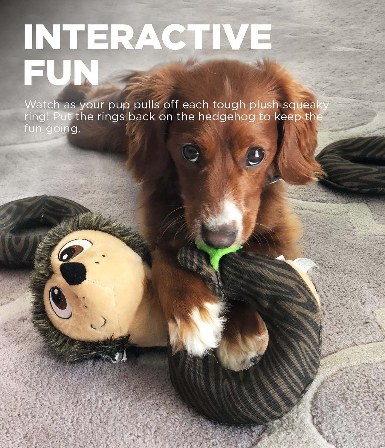 Outward Hound Hedgie Challenge Interactive Puzzle Plush Dog Toy