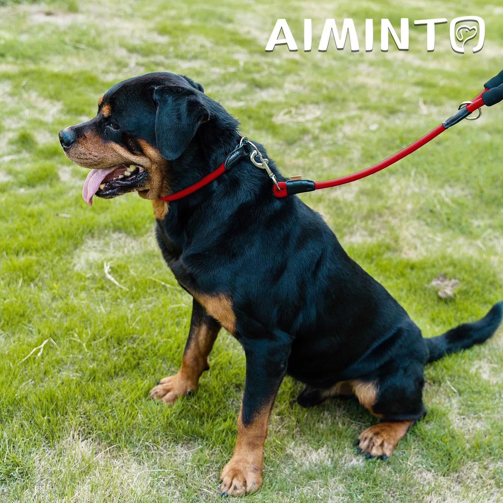 Aiminto Dog Leash, Braided Rope Traction - Walking Training Lead for Medium/Large Dogs ((1/2 '') x 6FT, Red)