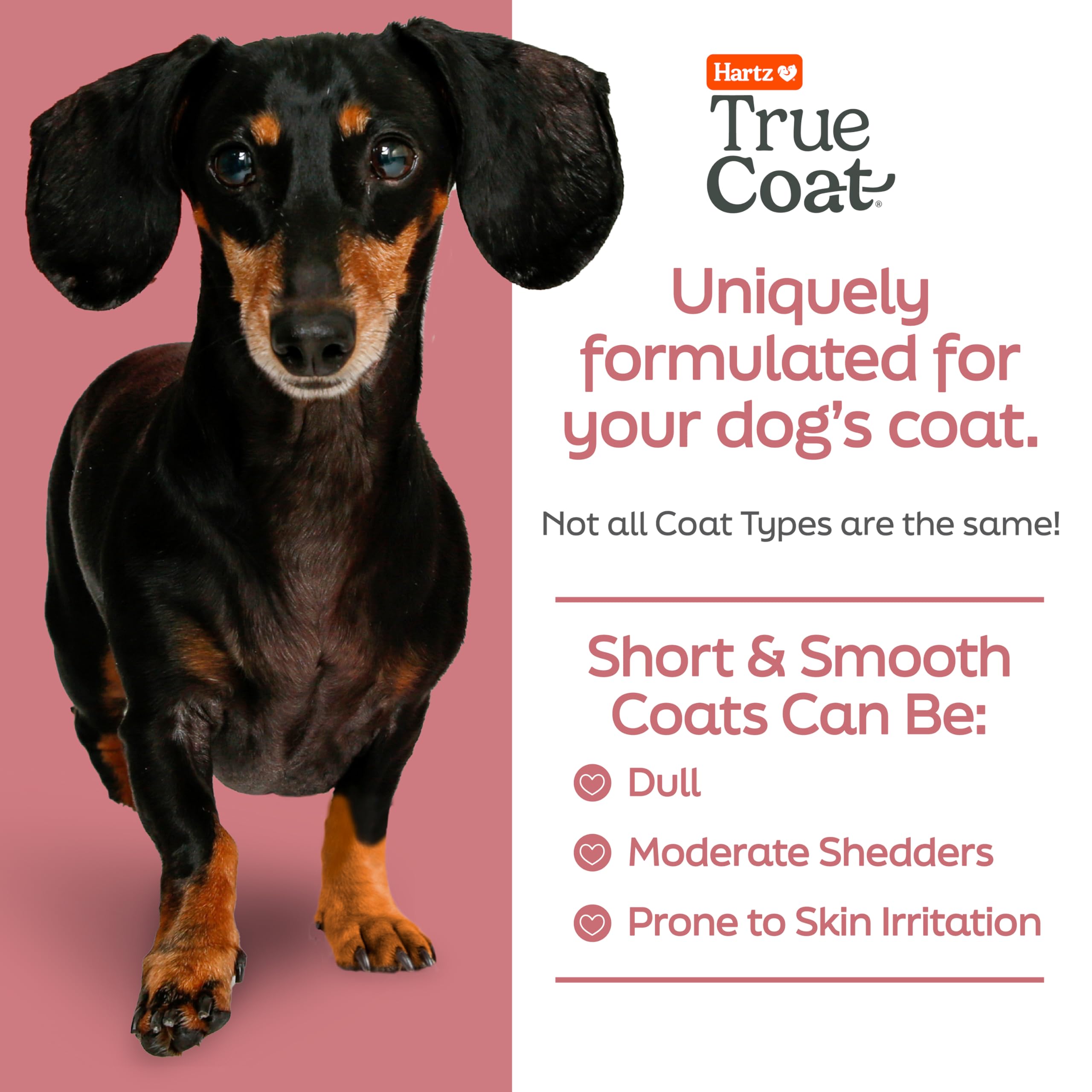 New! Hartz True Coat Short & Smooth Coat Specific Dog Shampoo, Soothes & Shines With Oat Milk, Coconut Oil & Vitamin E
