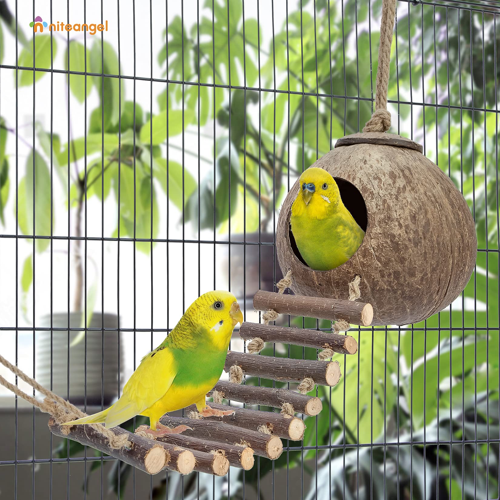 Niteangel Natural Coconut Hamster Hideaway With Ladder, Bird And Small Animal Toy (House With Ladder, Smooth Surface)