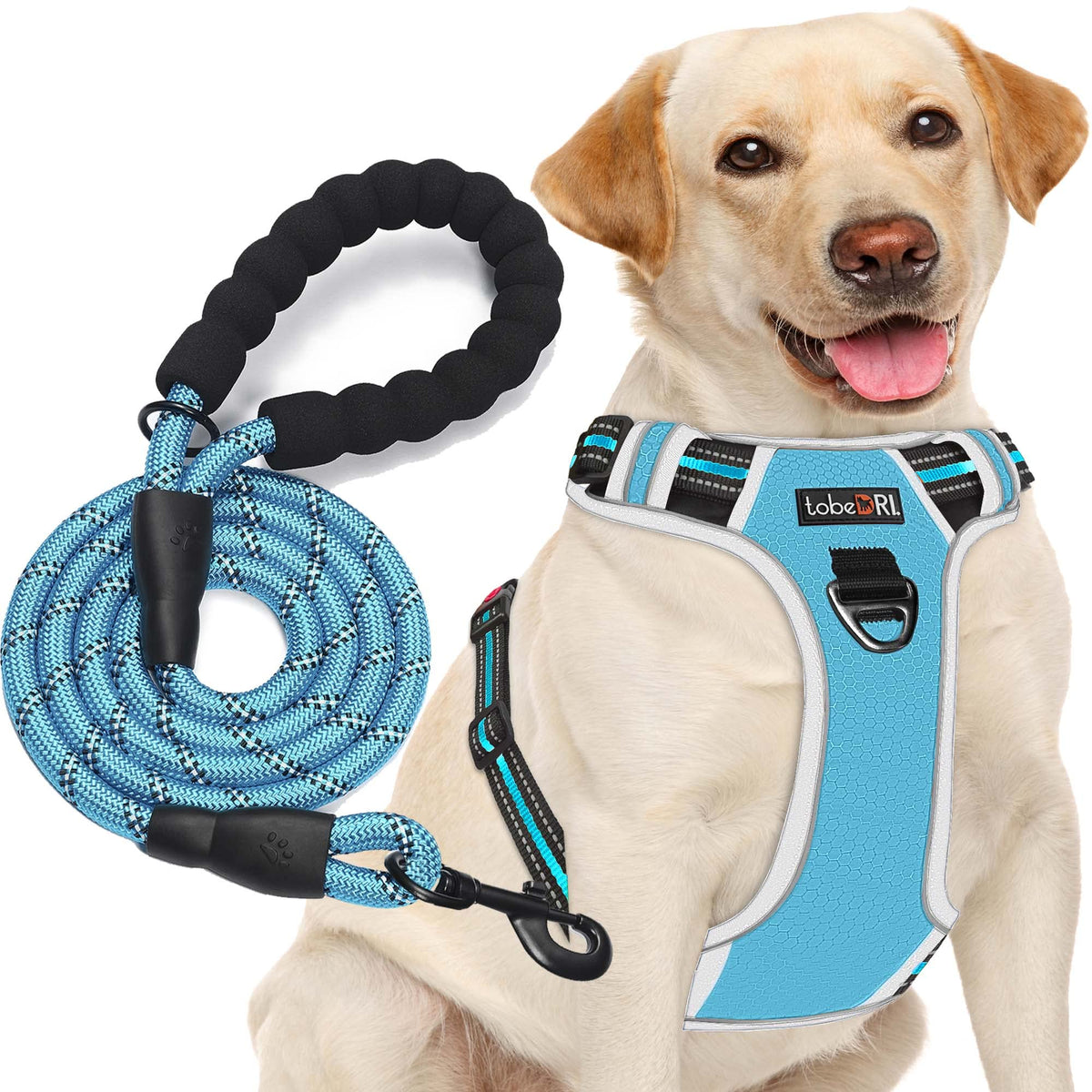 Tobedri No Pull Dog Harness Adjustable Reflective Oxford Easy Control Medium Large Dog Harness With A Free Heavy Duty 5Ft Leash