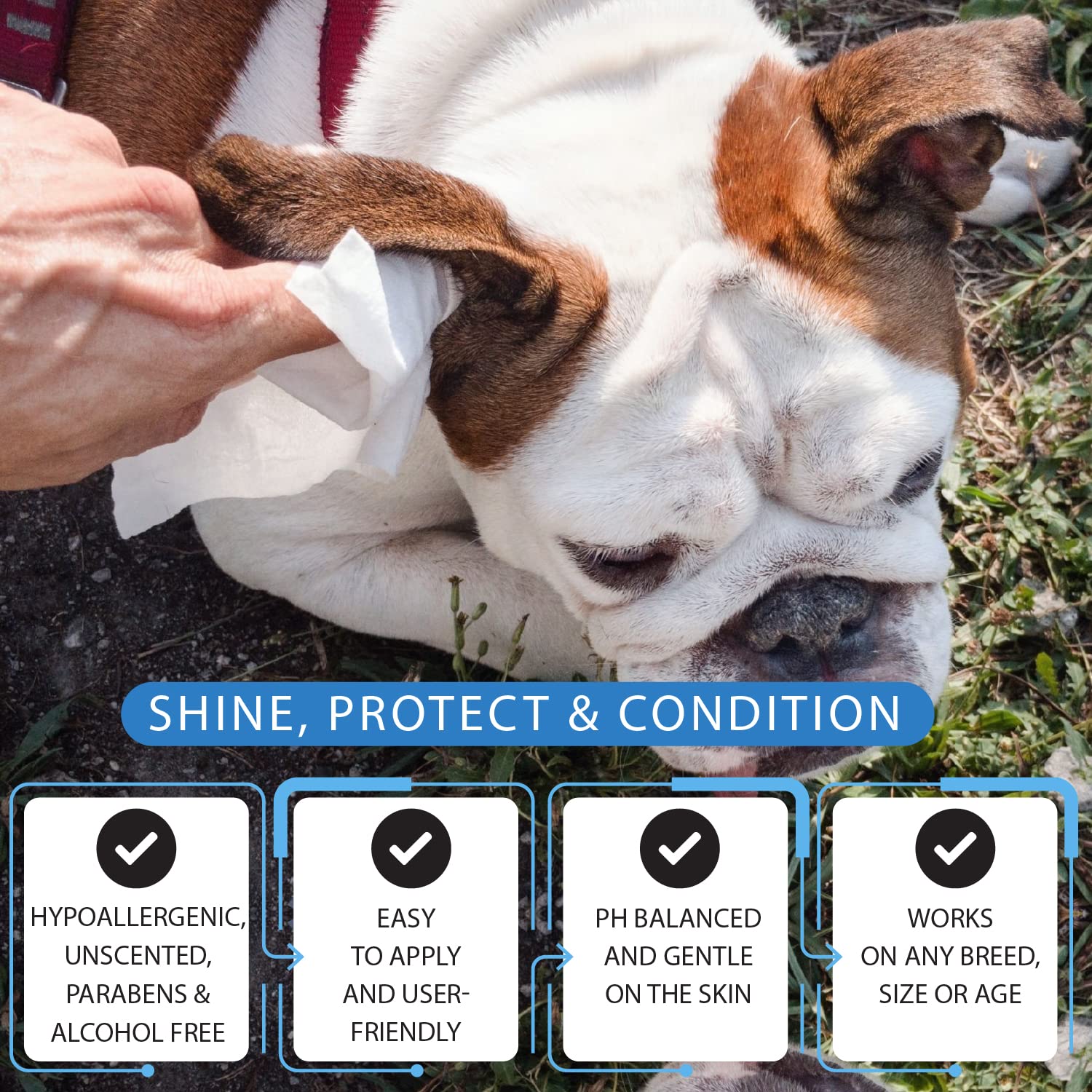 Tetesol Dog Wipes For Dogs Cats, 600 Count All Purpose Cleaning Pet Wipes, Dog Ear Wipes, Quick Easy Grooming For Bums, Body, Paws, Eyes, For A Easy & Speedy Freshen-Up, 6 Travel Pack Of 600 Wipes