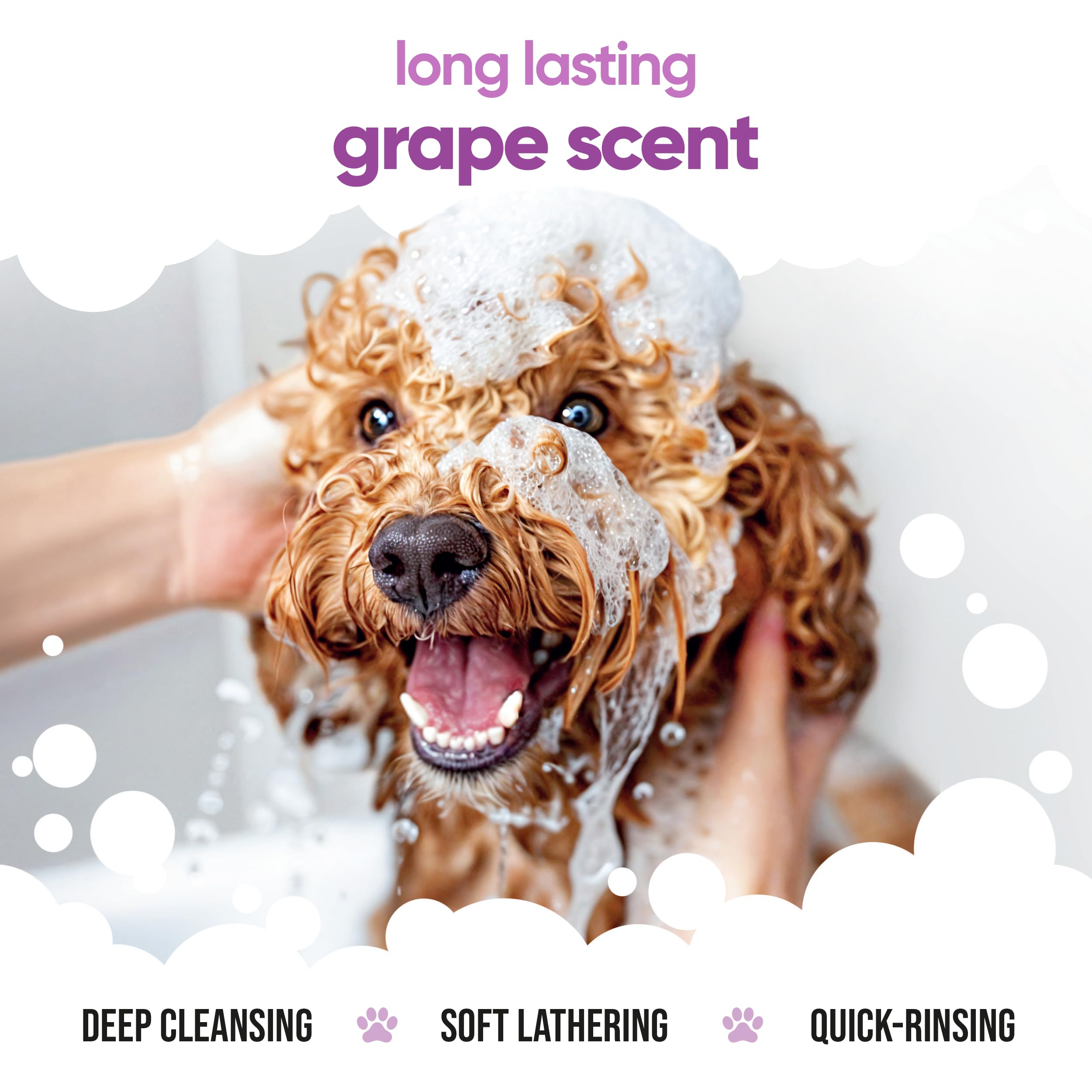 Grape Scented Puppy Shampoo By Buddycare | For Smelly Dogs From 8 Weeks | Aloe Vera & Pro Vitamin B5 (16.90Oz)