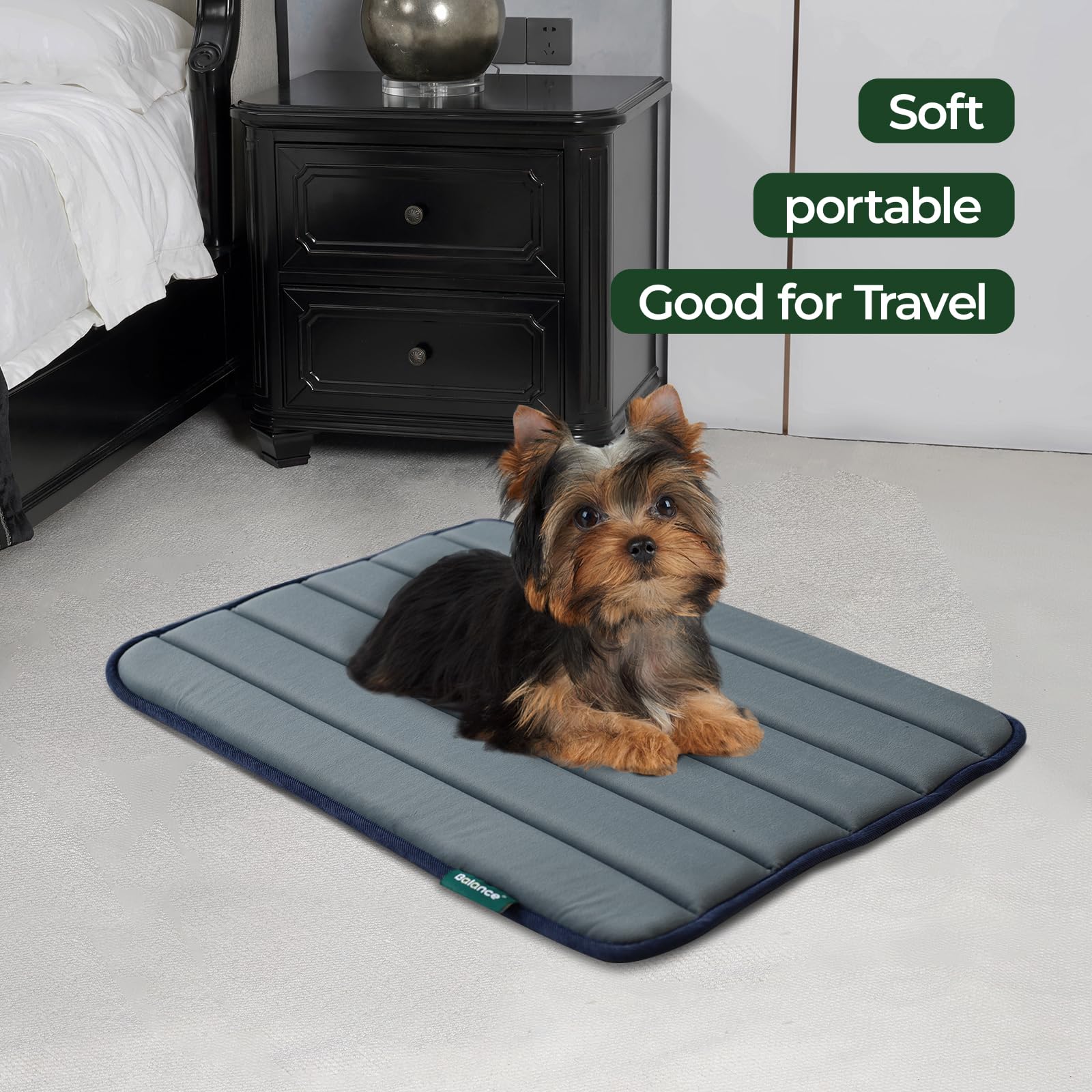 BALANCE Dog Crate Pad, Dog Foam Crate Mat Kennel Pad, Washable Water-Resistant Pet Bed Flat Dogs Cage Mat for Small Dogs, 2 Pack