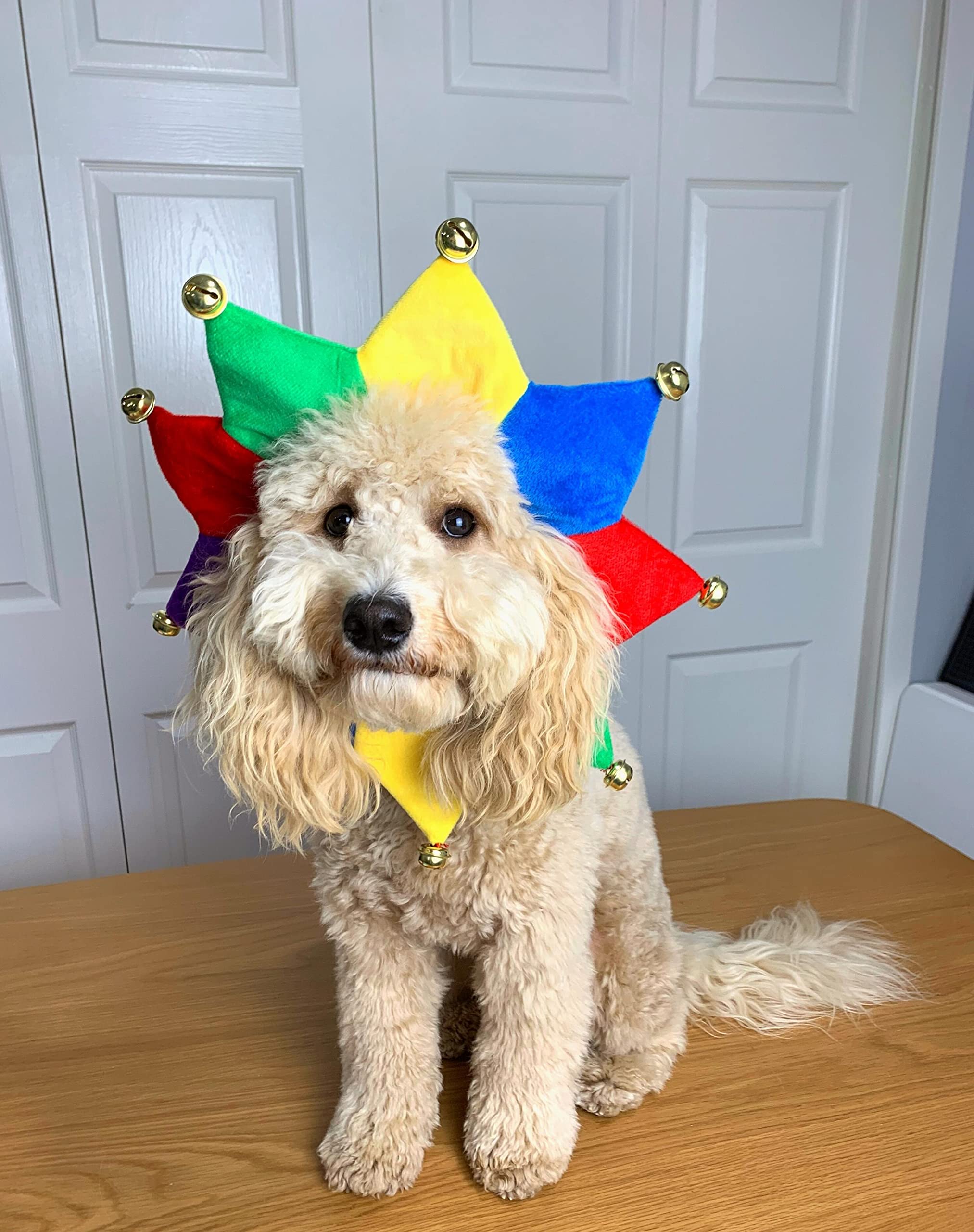 Comfycamper Jester Clown Dog Costume For Small Medium Large Dog Puppy Puppies Cat Kitten - Cute Costumes Outfits Clothes Accesso