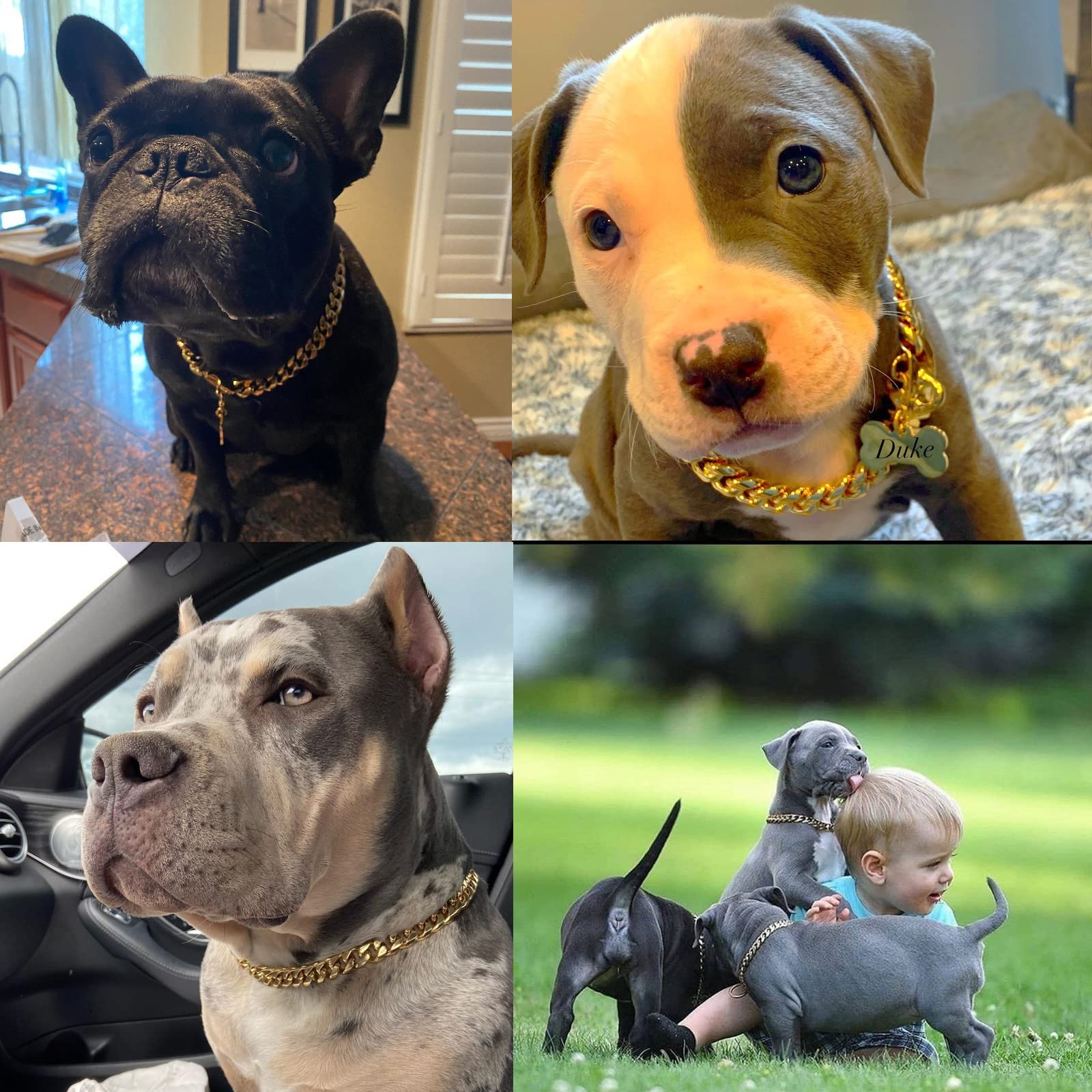 Yowity 24'' Gold Dog Collar For Large Dogs,14Mm Strong Stainless Steel Cuban Link Gold Dog Chain Collar,Dog Necklace Walking Col