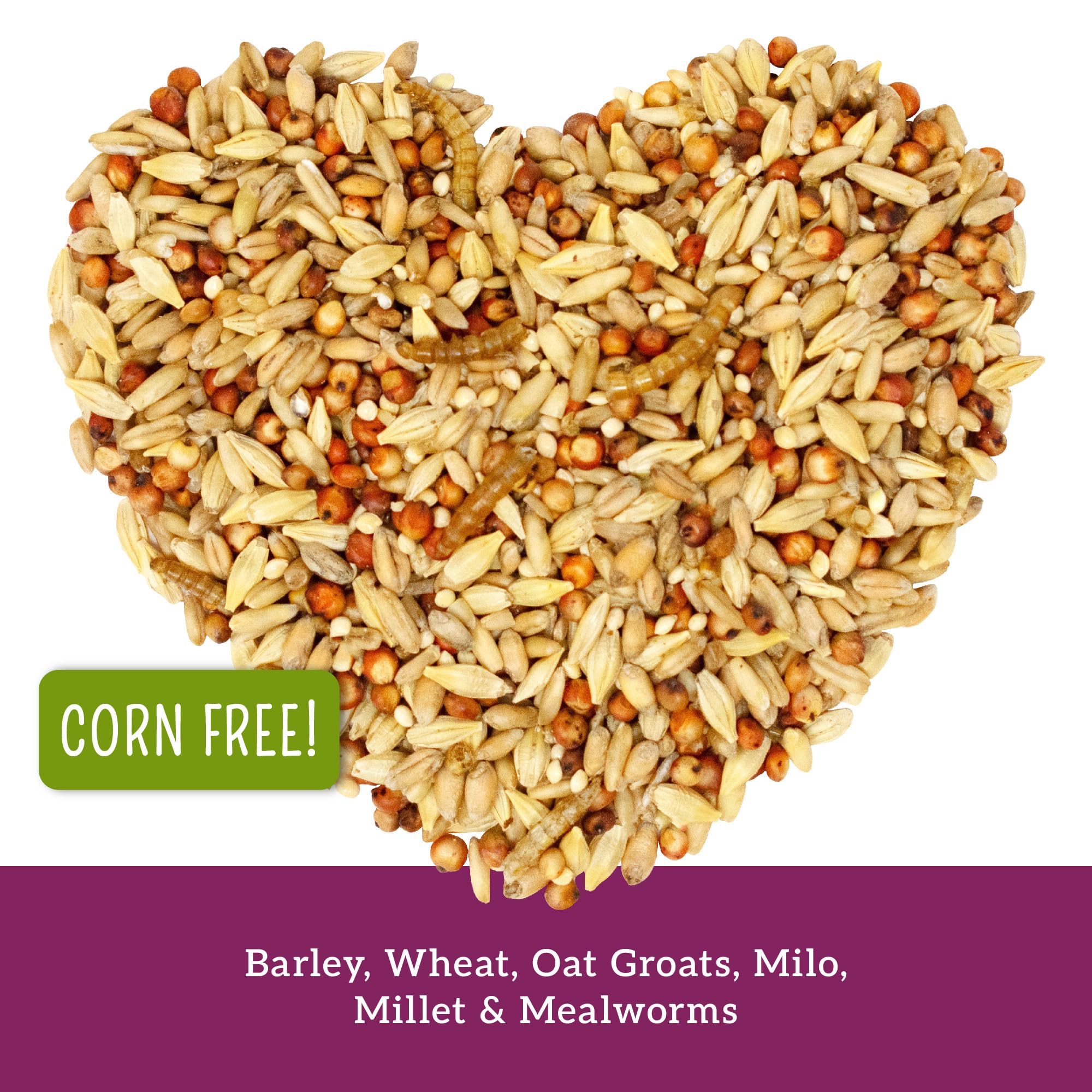 Love My Girls: Chicken Snacks - 5-Grain & Worms - 5lb Bag - Global Harvest, Gourmet Multi-Grain Treats, Corn-Free, Nutritious &