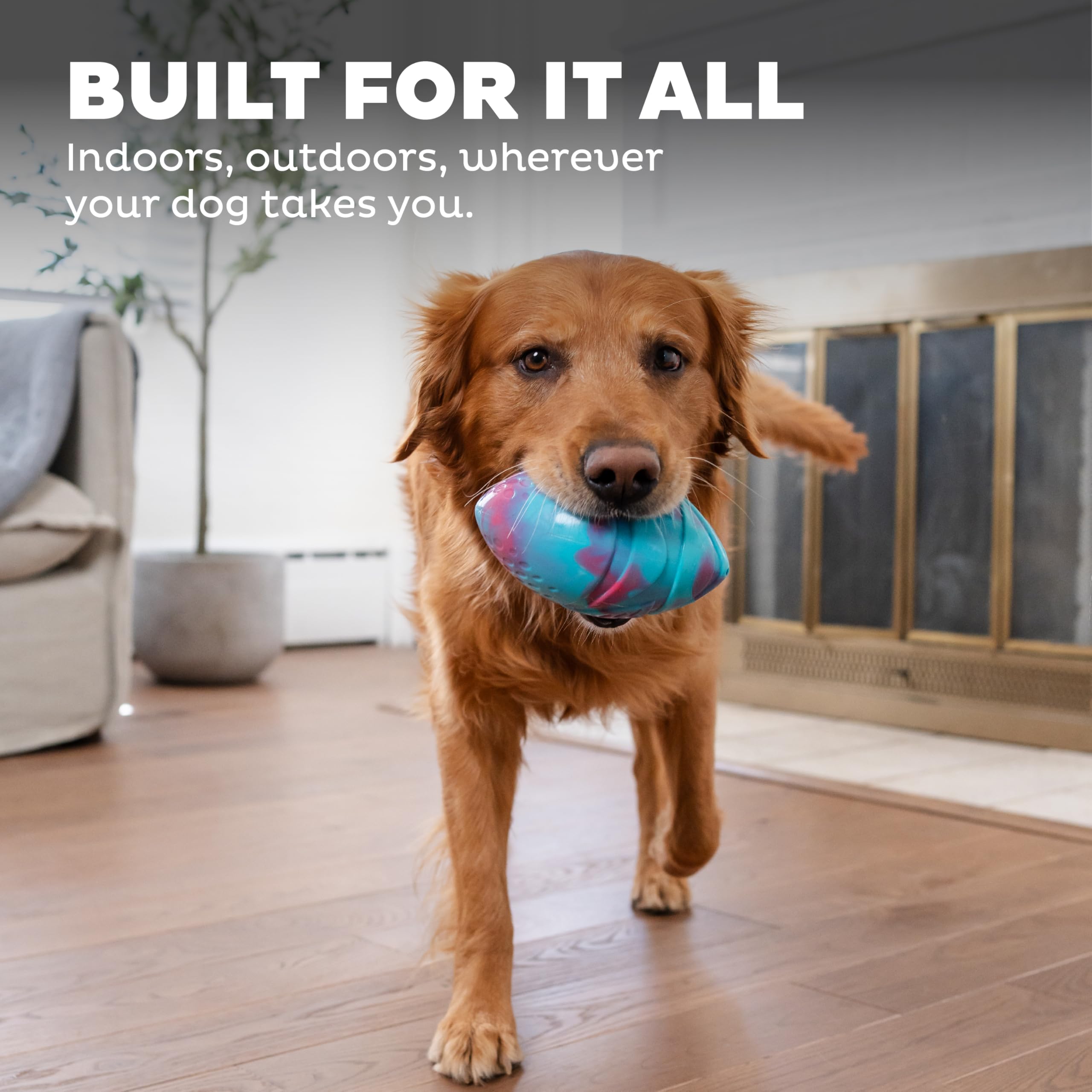 Outward Hound Grunt N Punt Football Dog Toy - Throwing, Fetching Fun