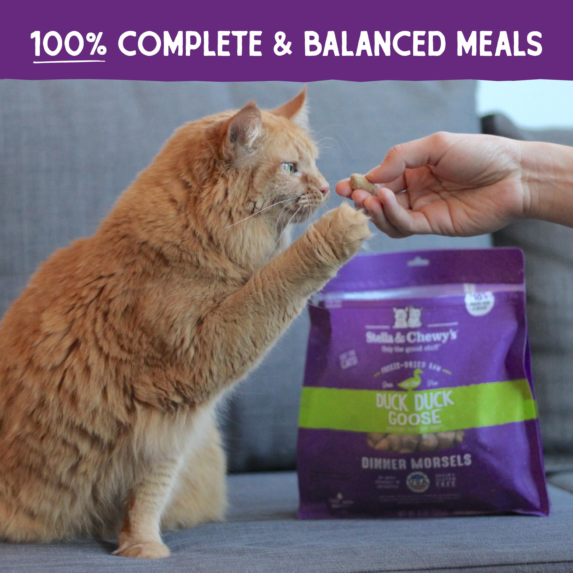 Stella & Chewys Freeze-Dried Raw Cat Dinner Morsels - Grain Free, Protein Rich Cat & Kitten Food - Duck Duck Goose Recipe - 8 o